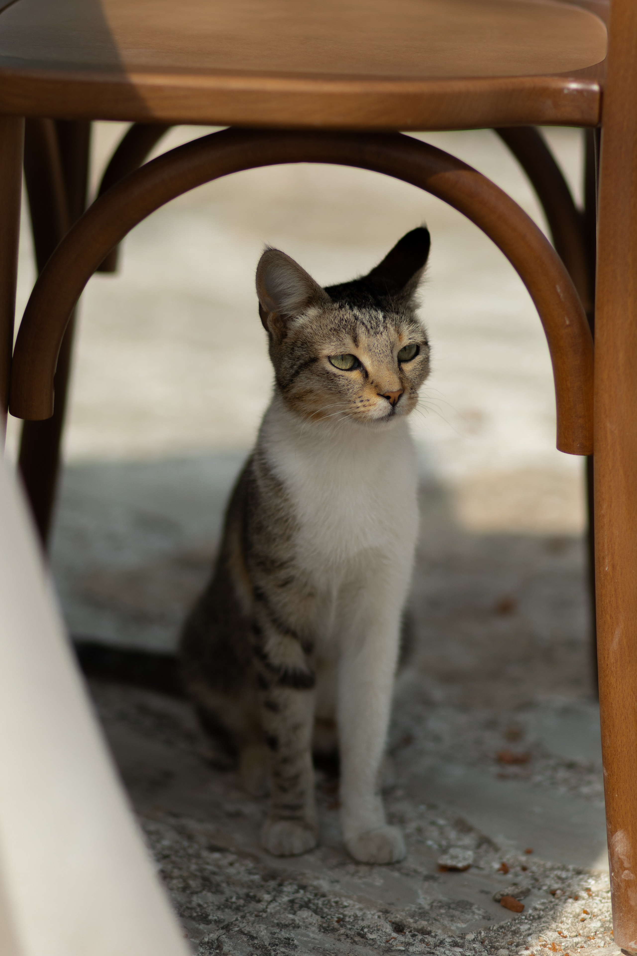 A&M. Свадебный фотограф в Краснодаре Алена Колесникова