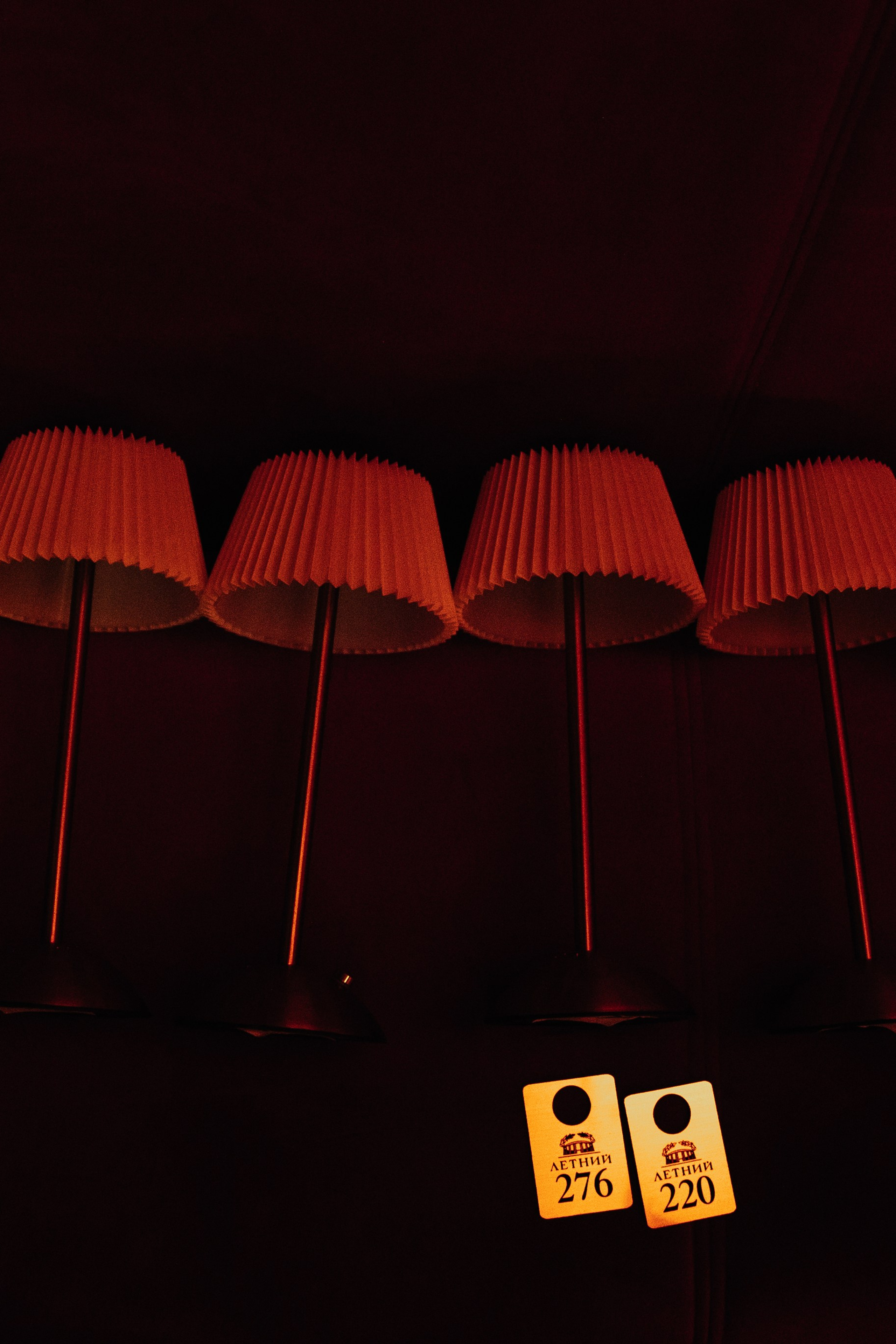 Wedding Awards South'25. Свадебный фотограф в Краснодаре Алена Колесникова