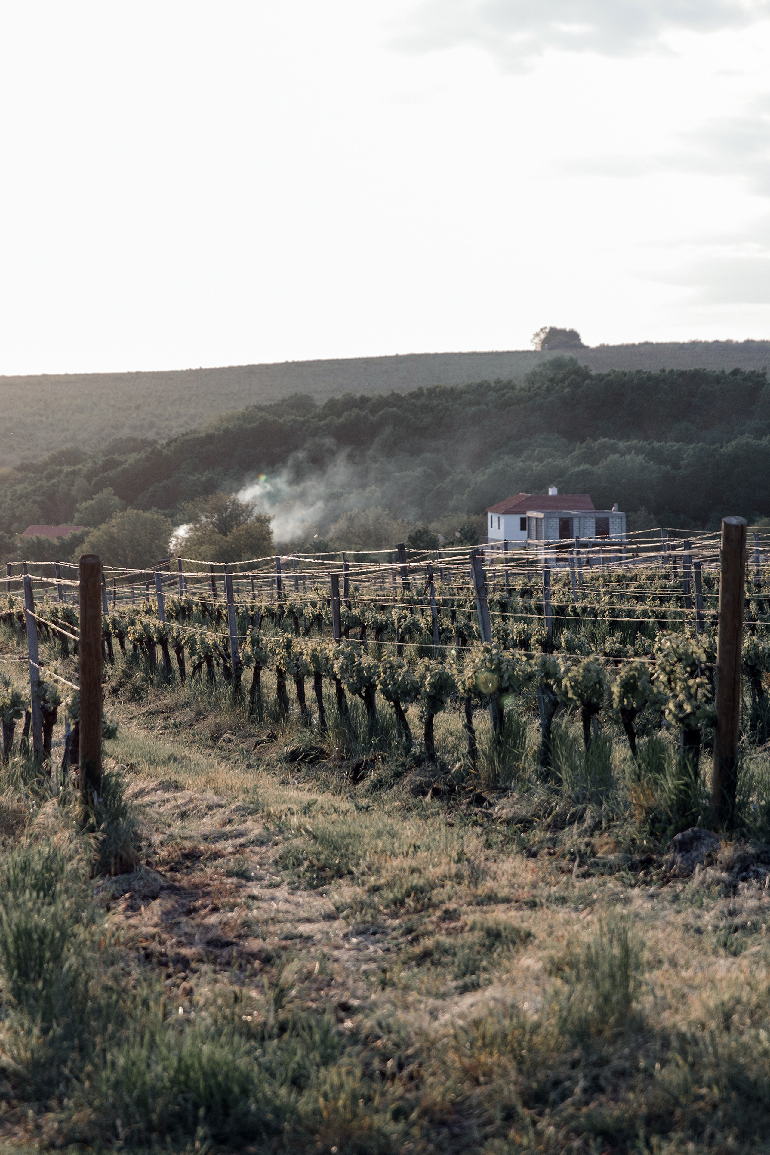 A&S. Свадебный фотограф в Краснодаре Алена Колесникова