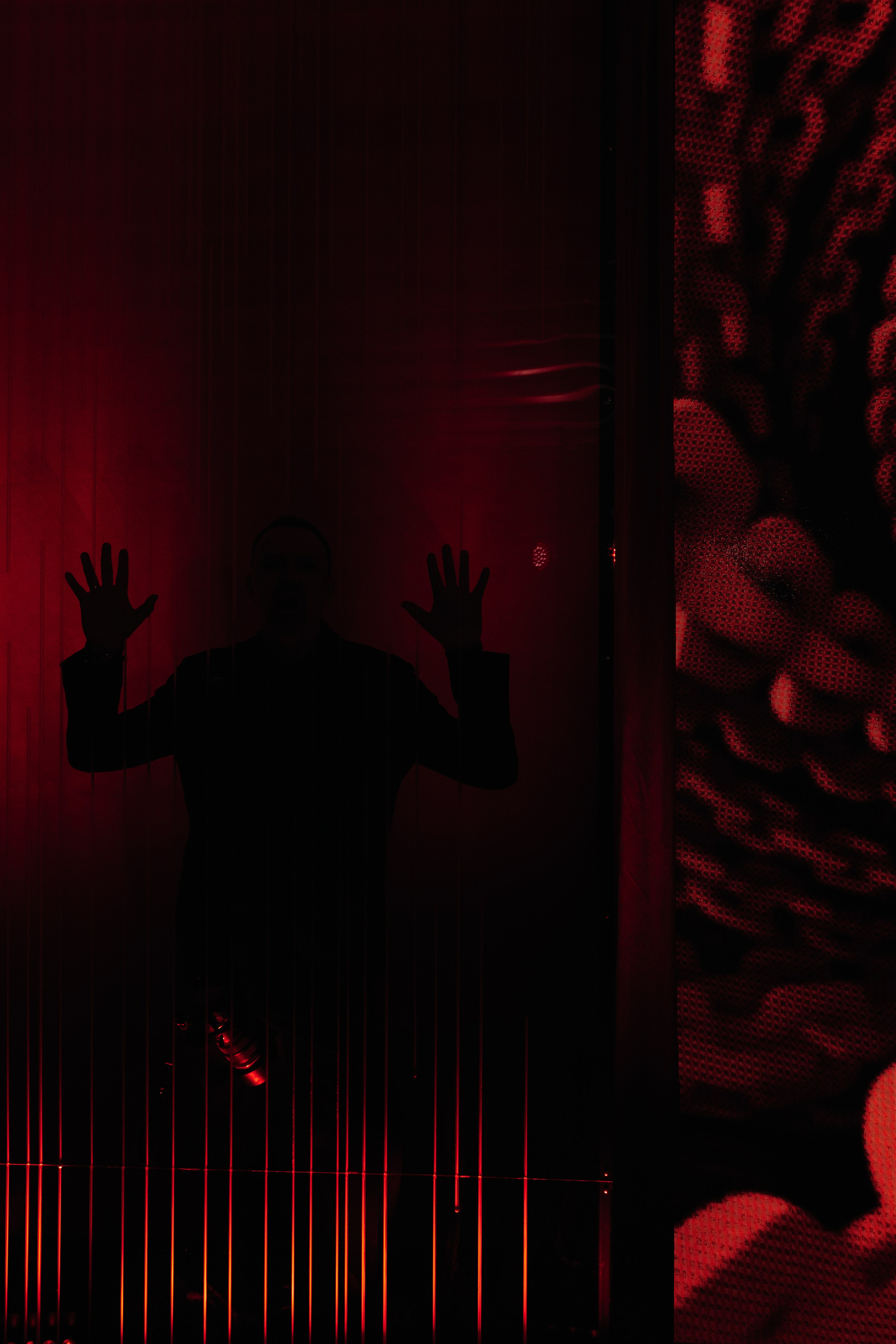 Wedding Awards South'25. Свадебный фотограф в Краснодаре Алена Колесникова