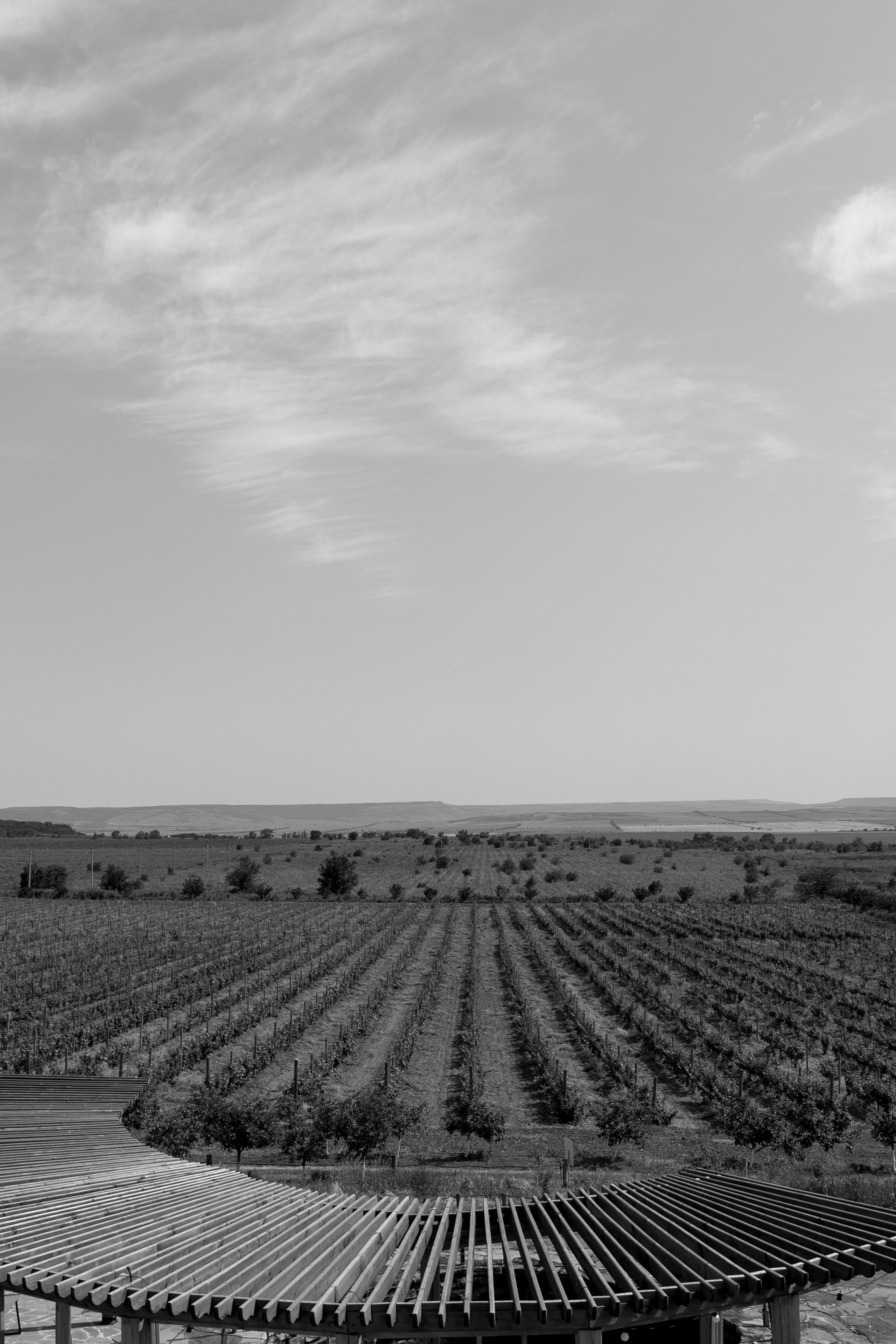 A&M. Свадебный фотограф в Краснодаре Алена Колесникова