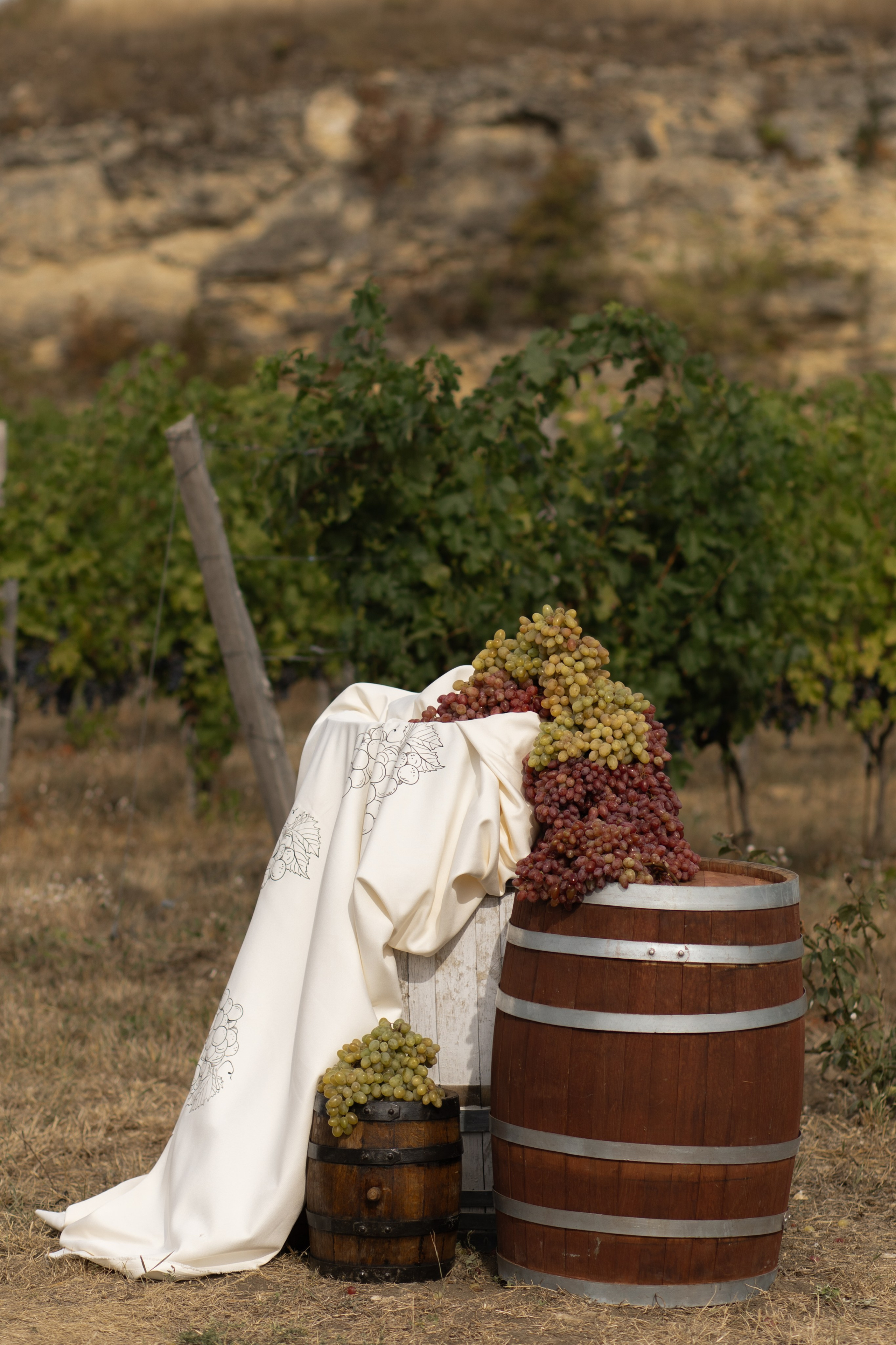 A&M. Свадебный фотограф в Краснодаре Алена Колесникова