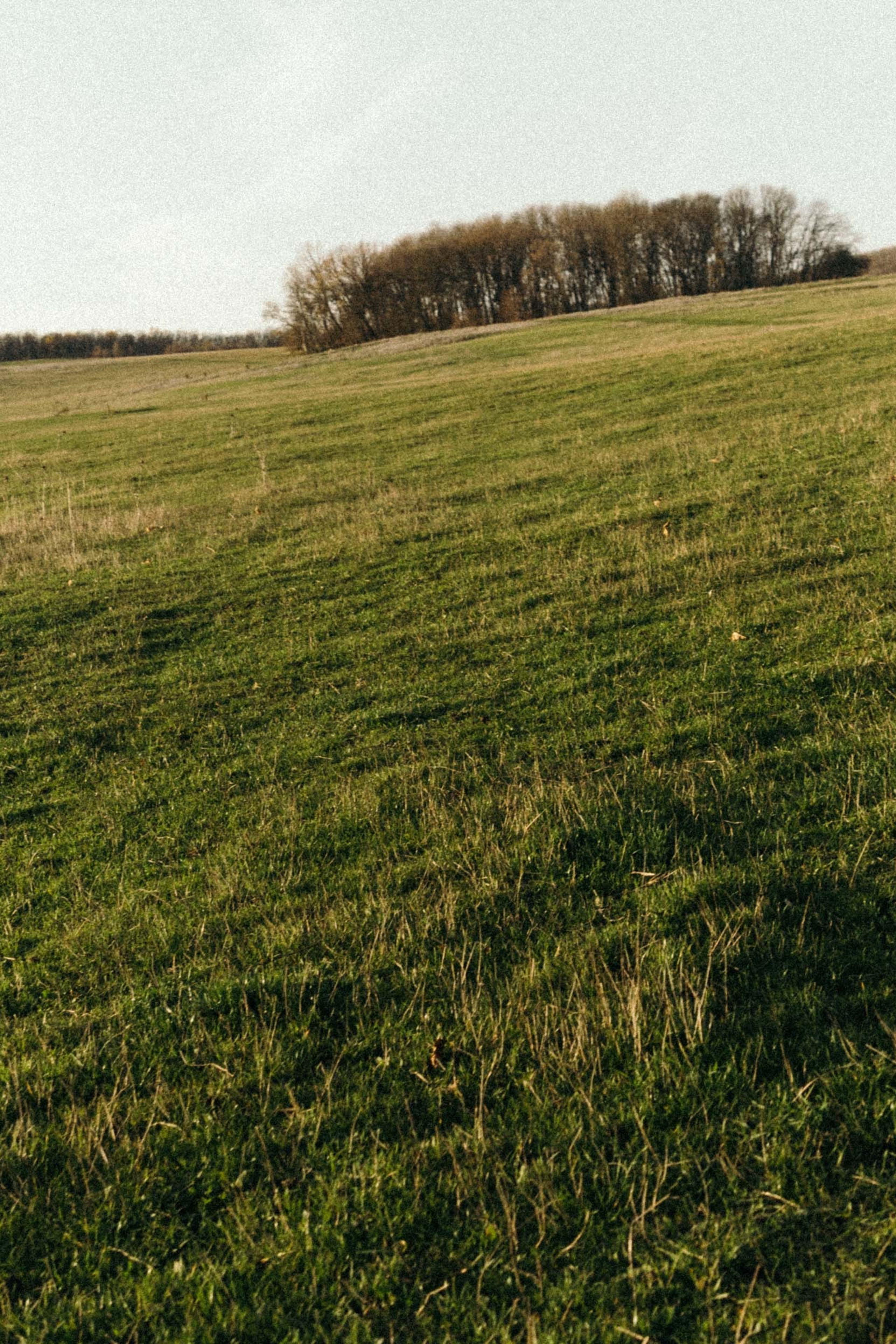 DIM. Свадебный фотограф в Краснодаре Алена Колесникова