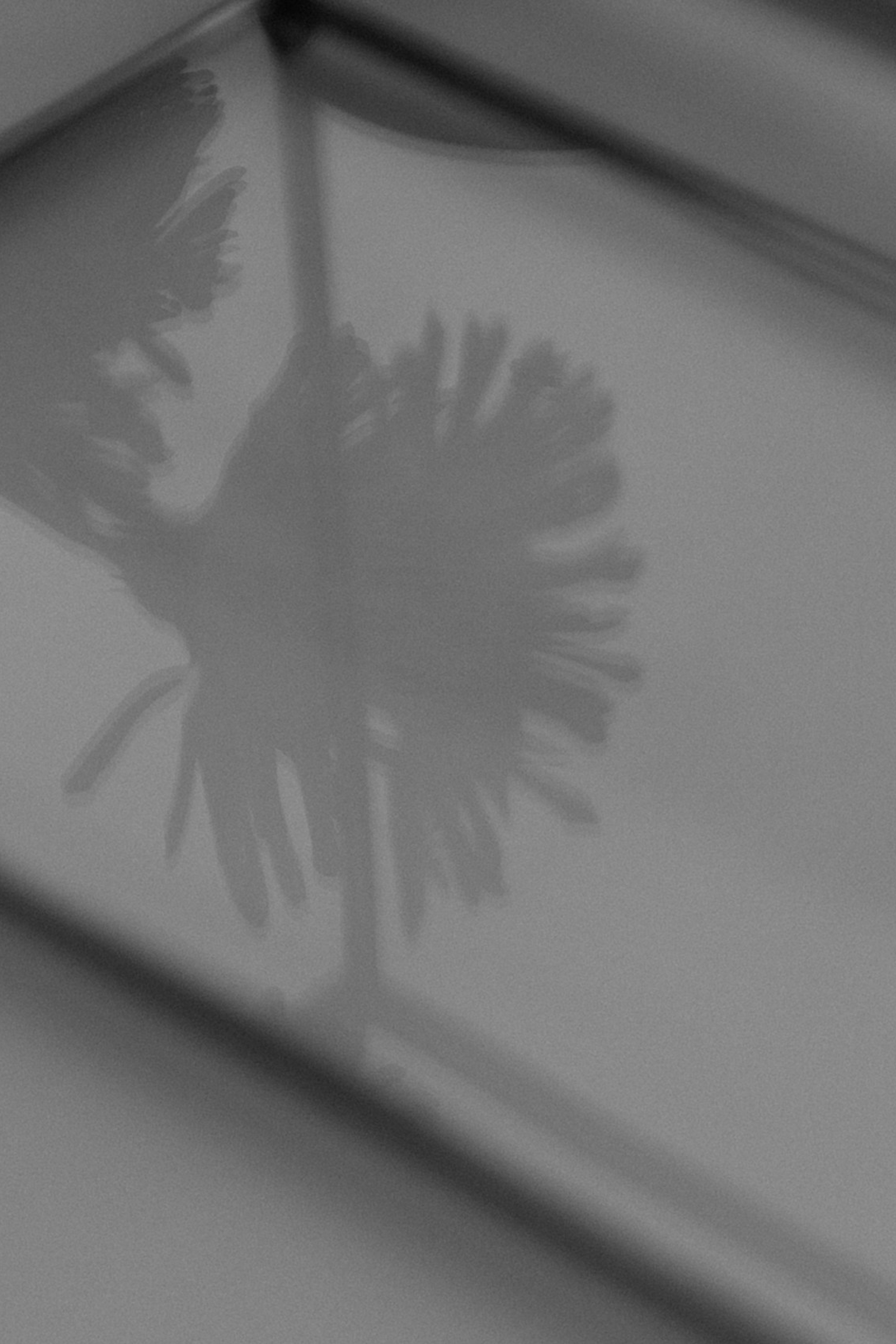 A&M. Свадебный фотограф в Краснодаре Алена Колесникова