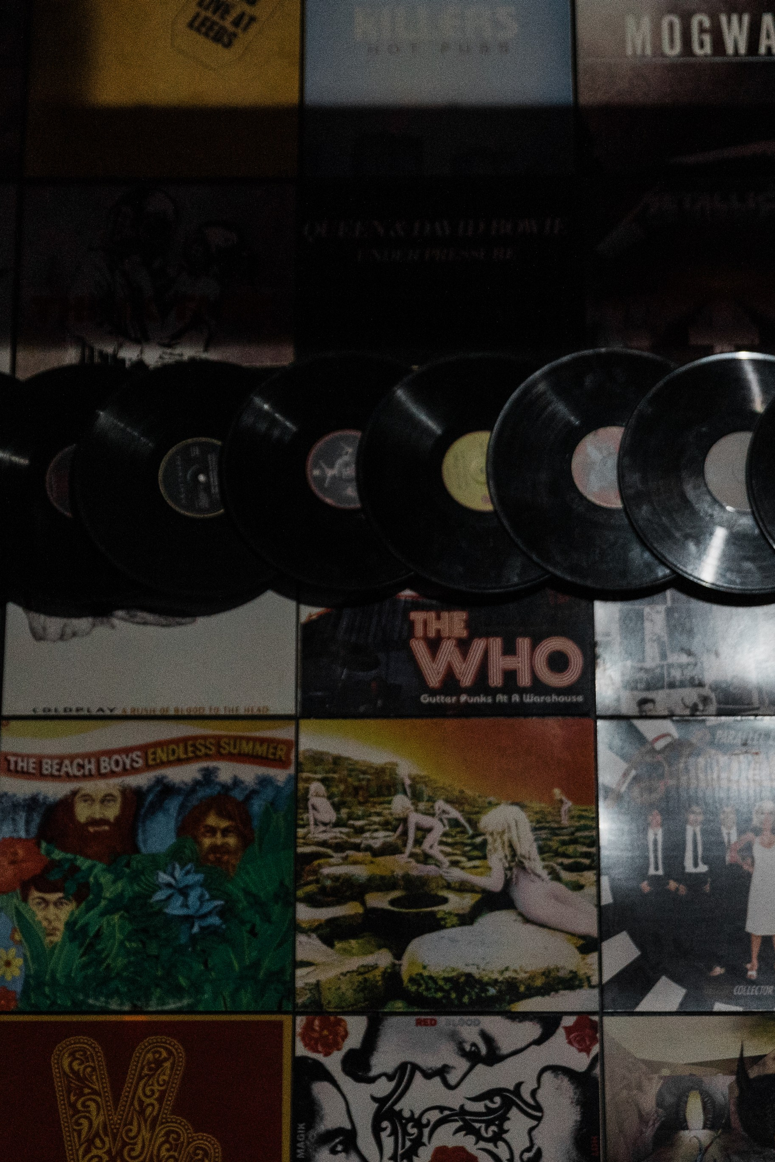 Кочка. Свадебный фотограф в Краснодаре Алена Колесникова