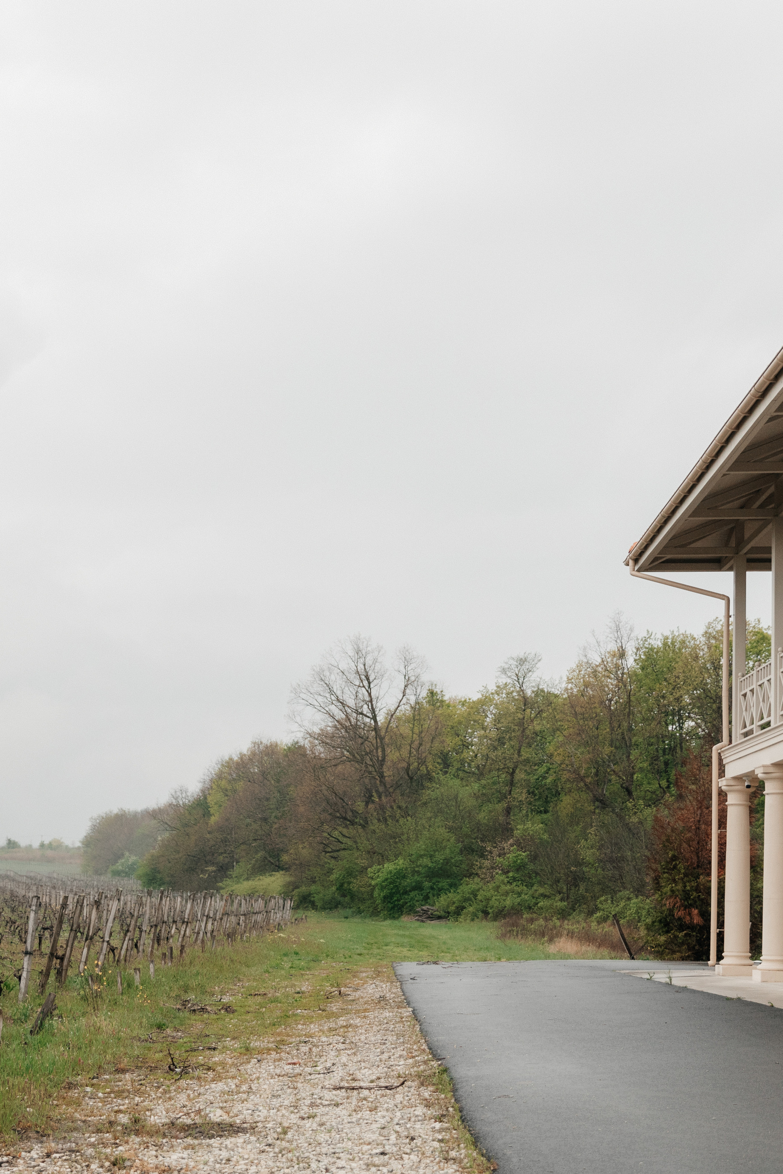 Z&V. Свадебный фотограф в Краснодаре Алена Колесникова