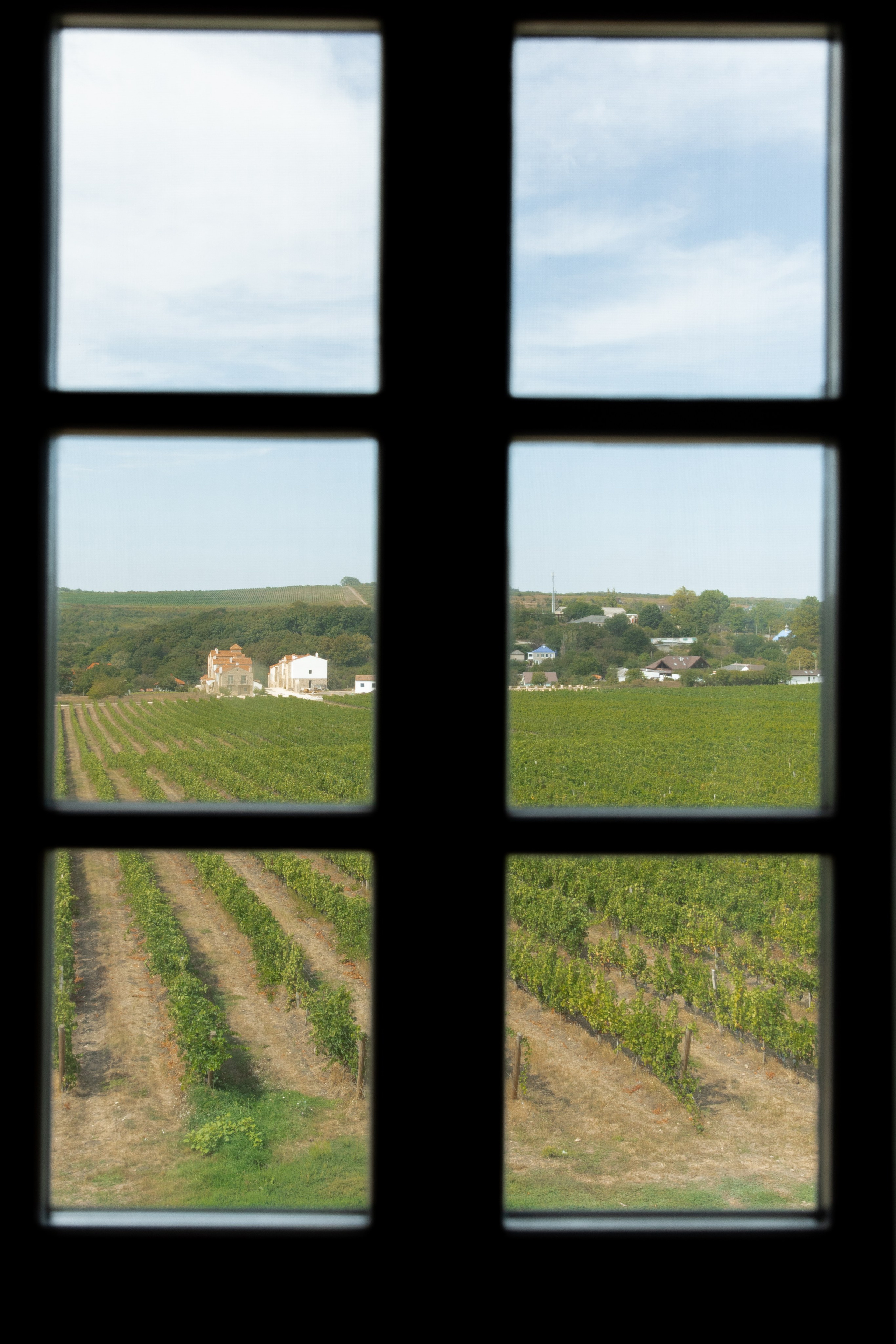 A&M. Свадебный фотограф в Краснодаре Алена Колесникова