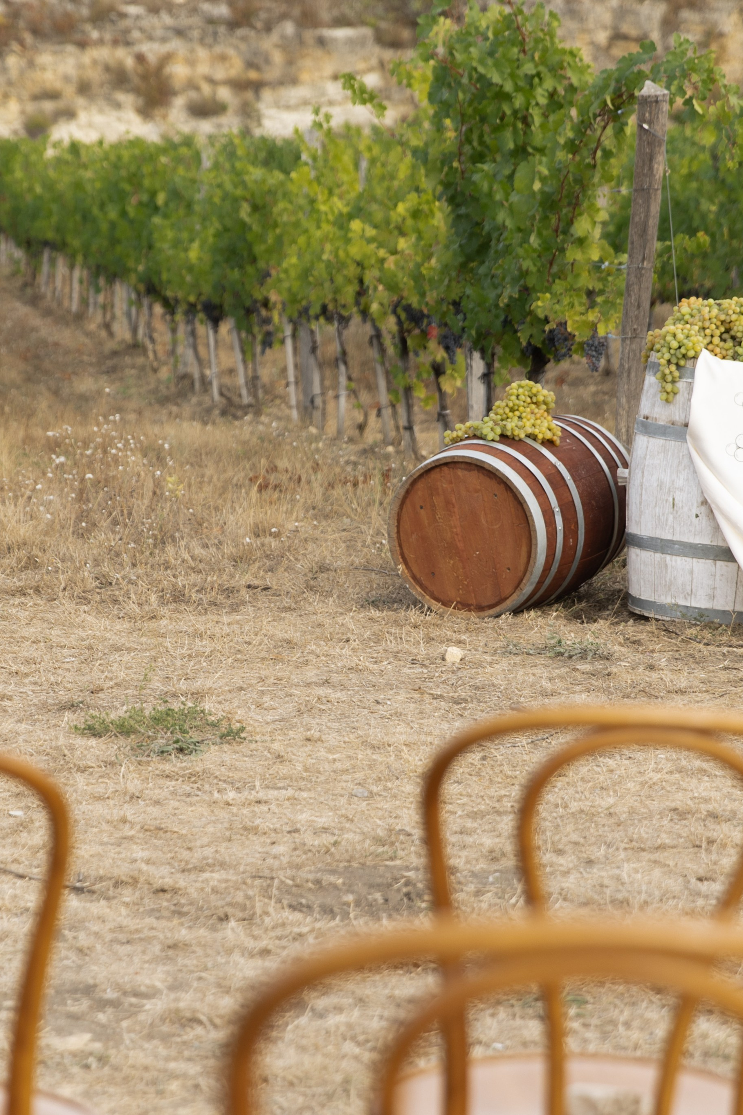 A&M. Свадебный фотограф в Краснодаре Алена Колесникова