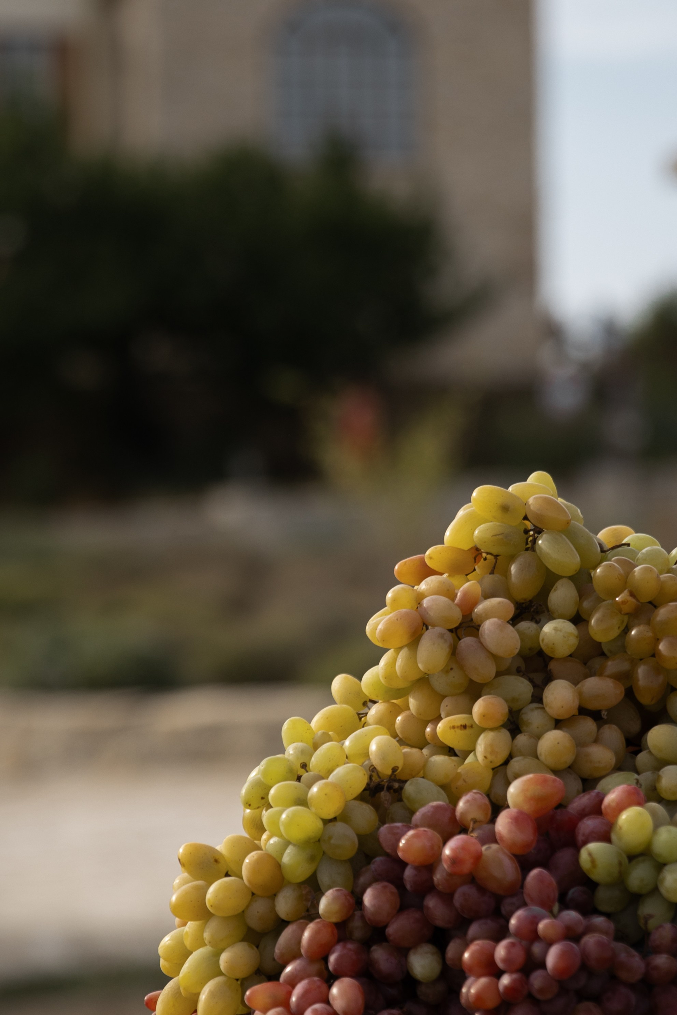 A&M. Свадебный фотограф в Краснодаре Алена Колесникова