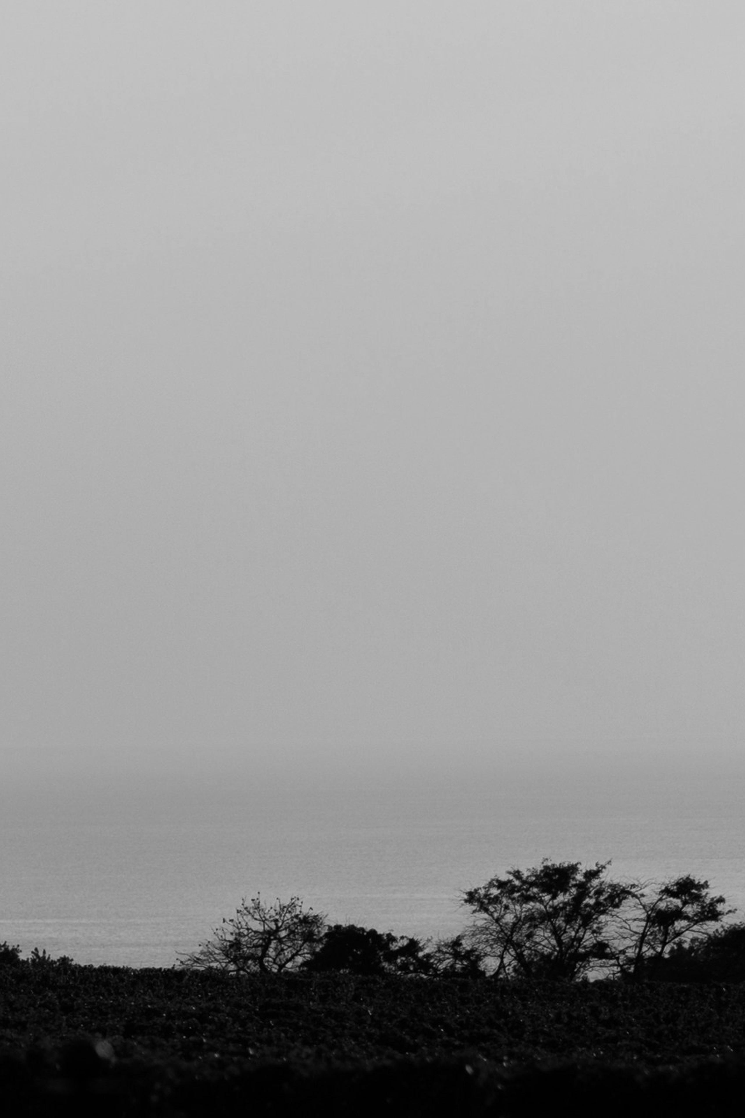 E&I. Свадебный фотограф в Краснодаре Алена Колесникова