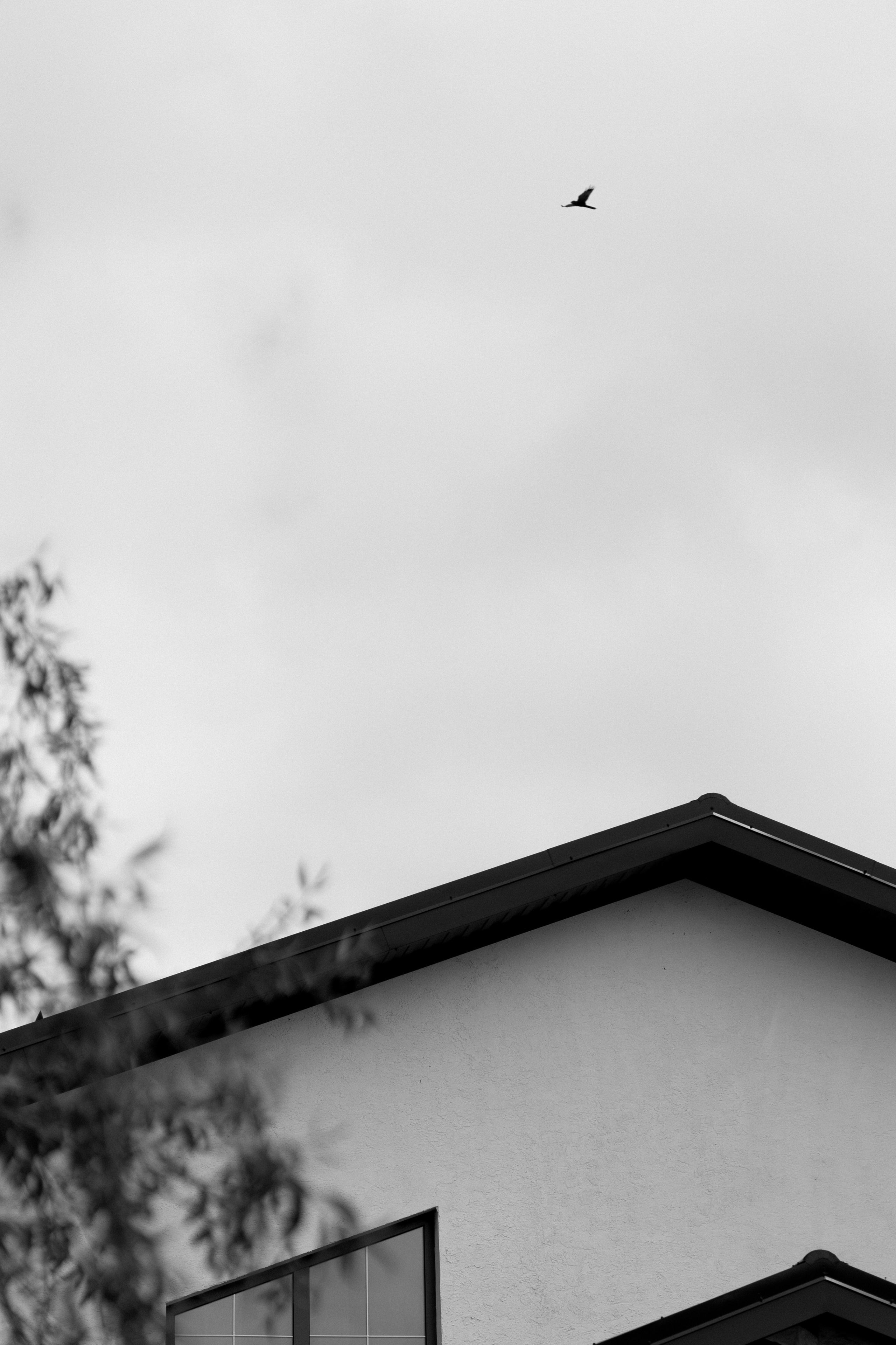 N&K. Свадебный фотограф в Краснодаре Алена Колесникова