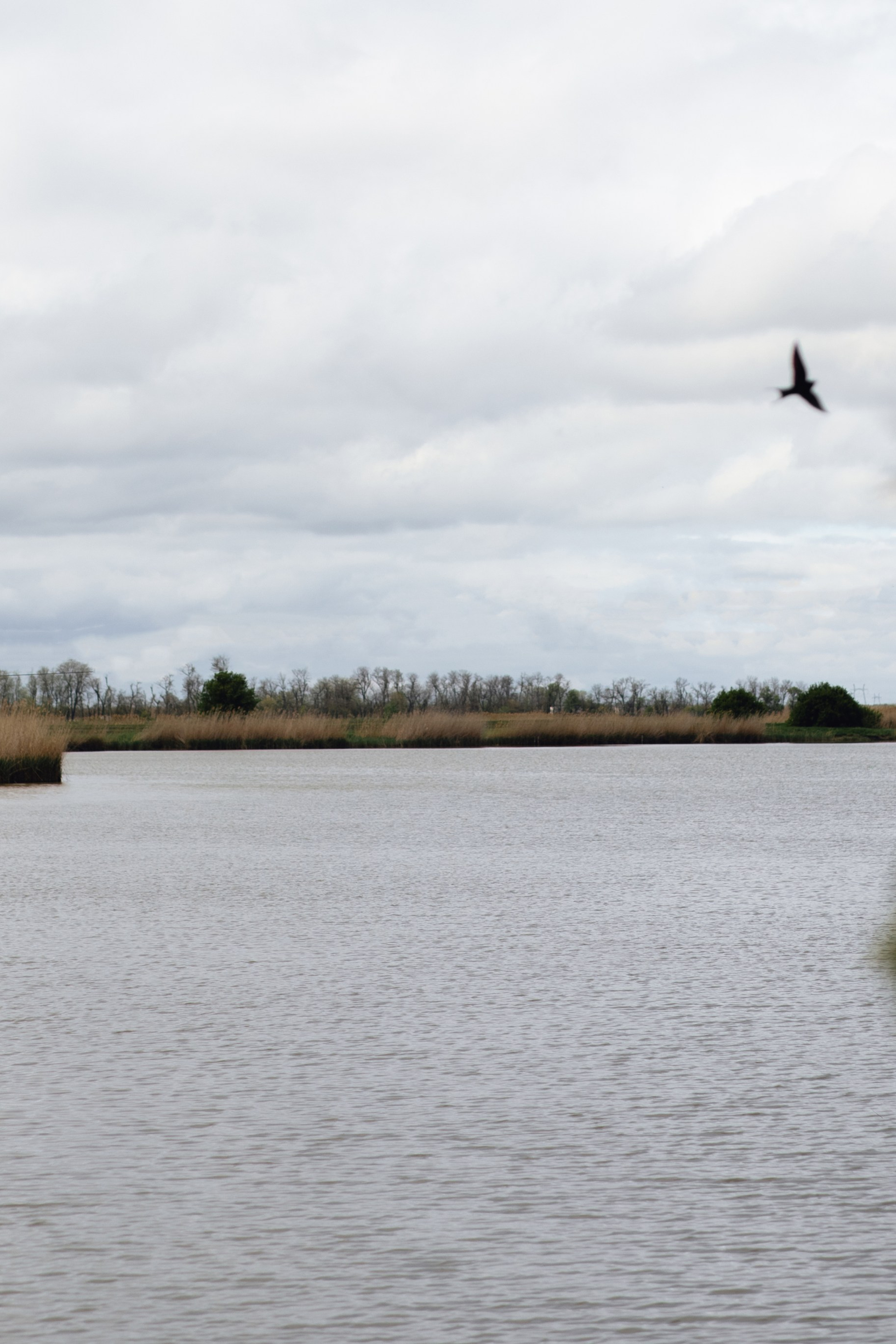 N&K. Свадебный фотограф в Краснодаре Алена Колесникова