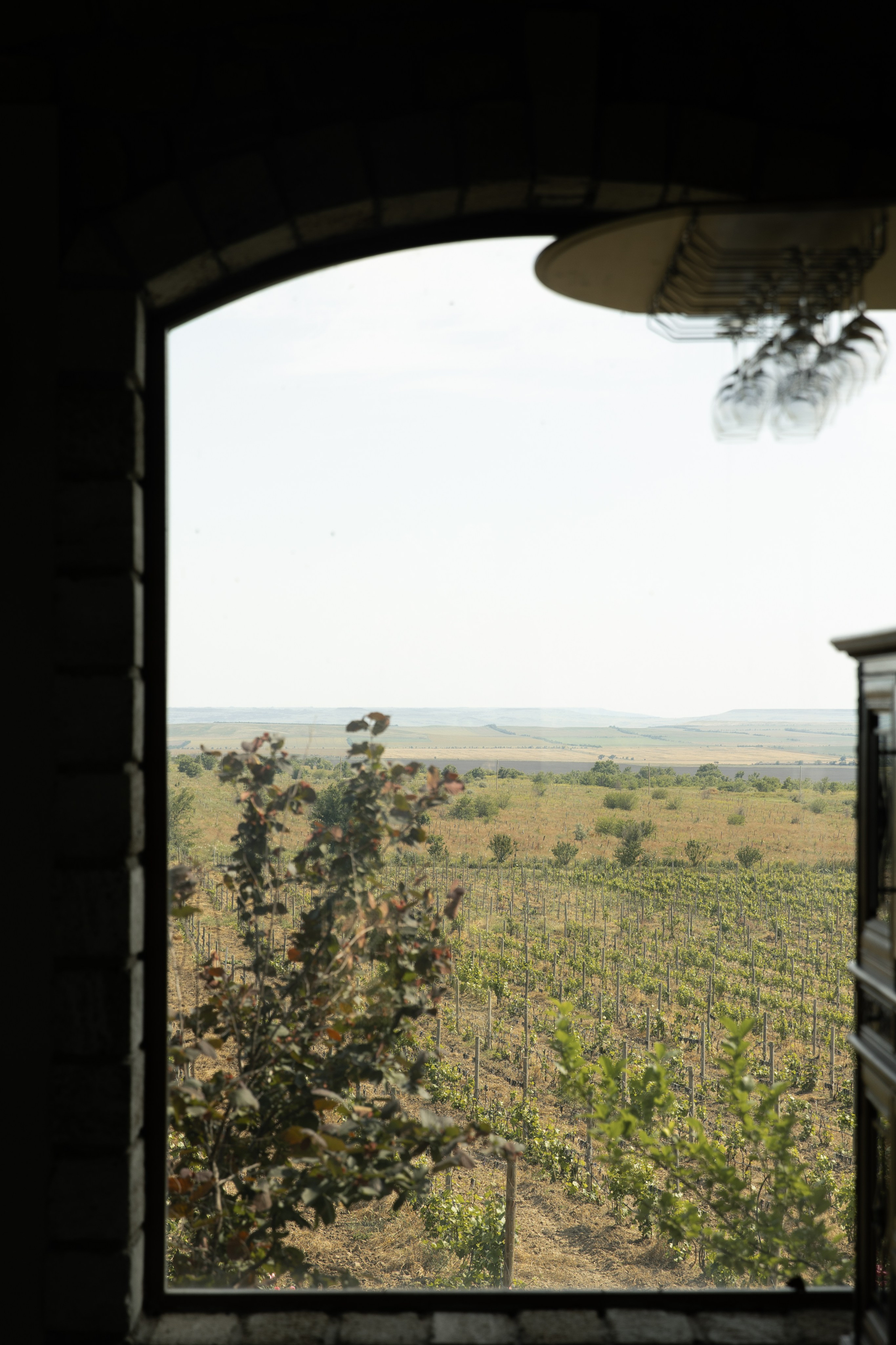 A&M. Свадебный фотограф в Краснодаре Алена Колесникова