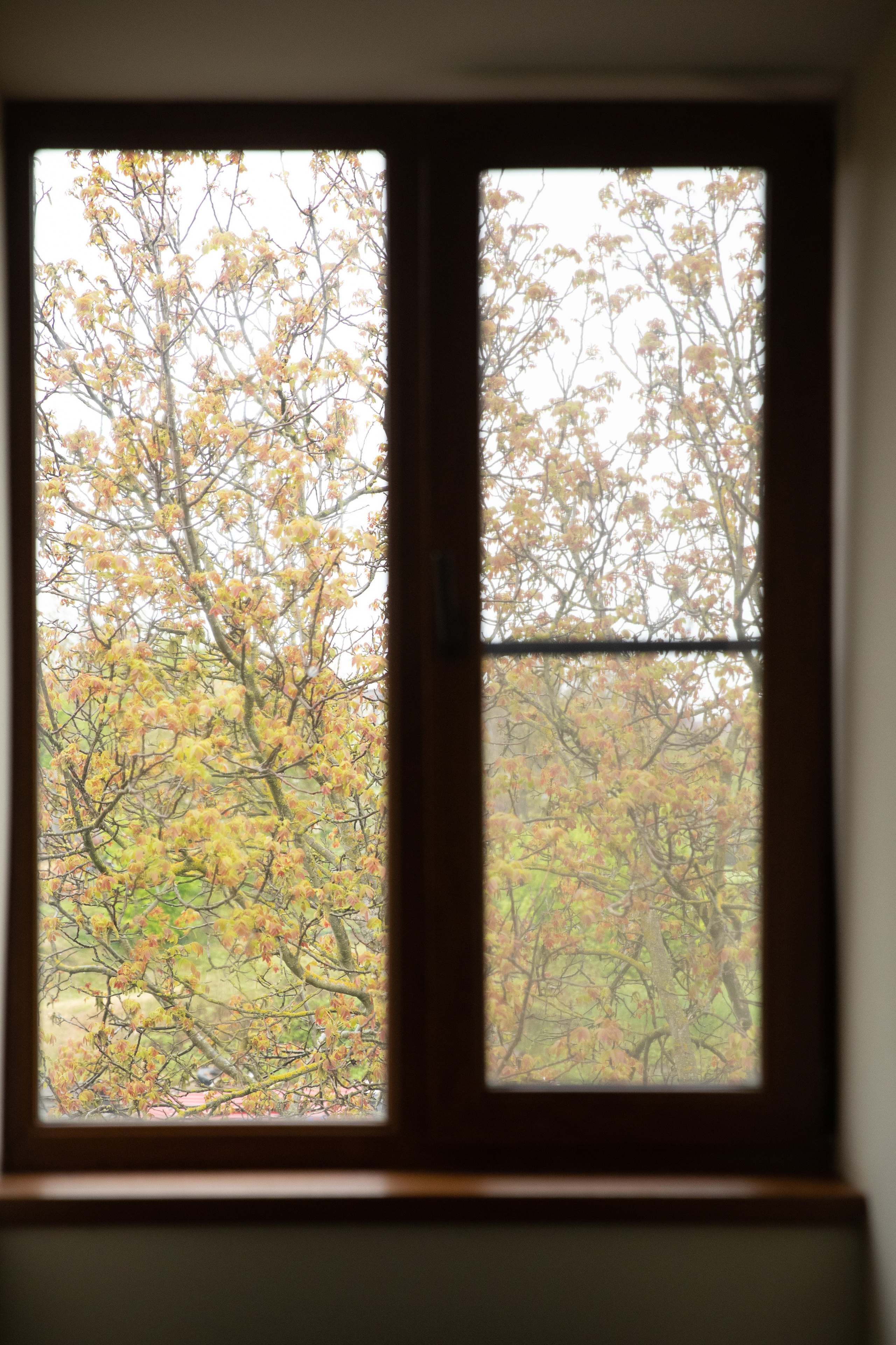 Z&V. Свадебный фотограф в Краснодаре Алена Колесникова