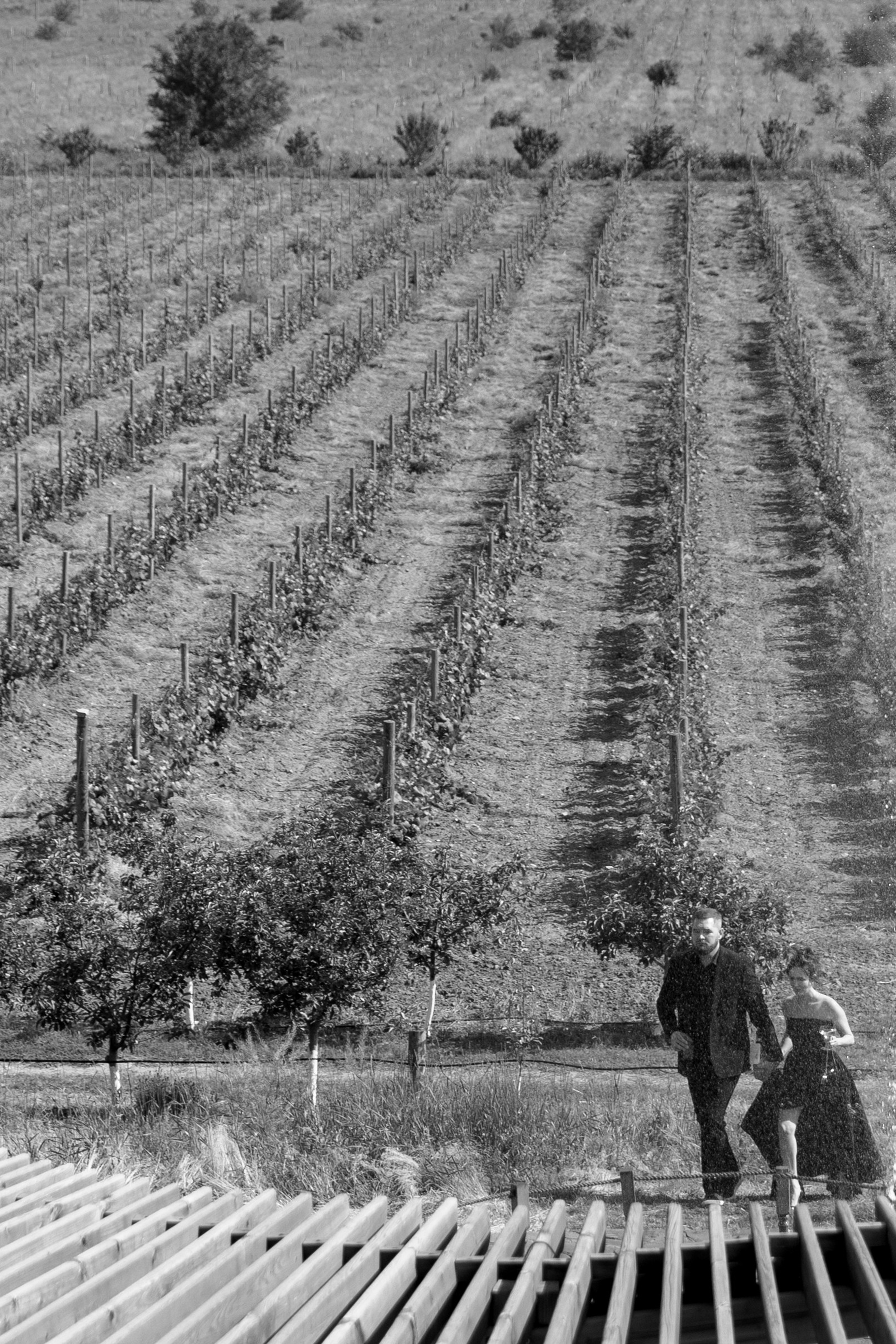 A&M. Свадебный фотограф в Краснодаре Алена Колесникова