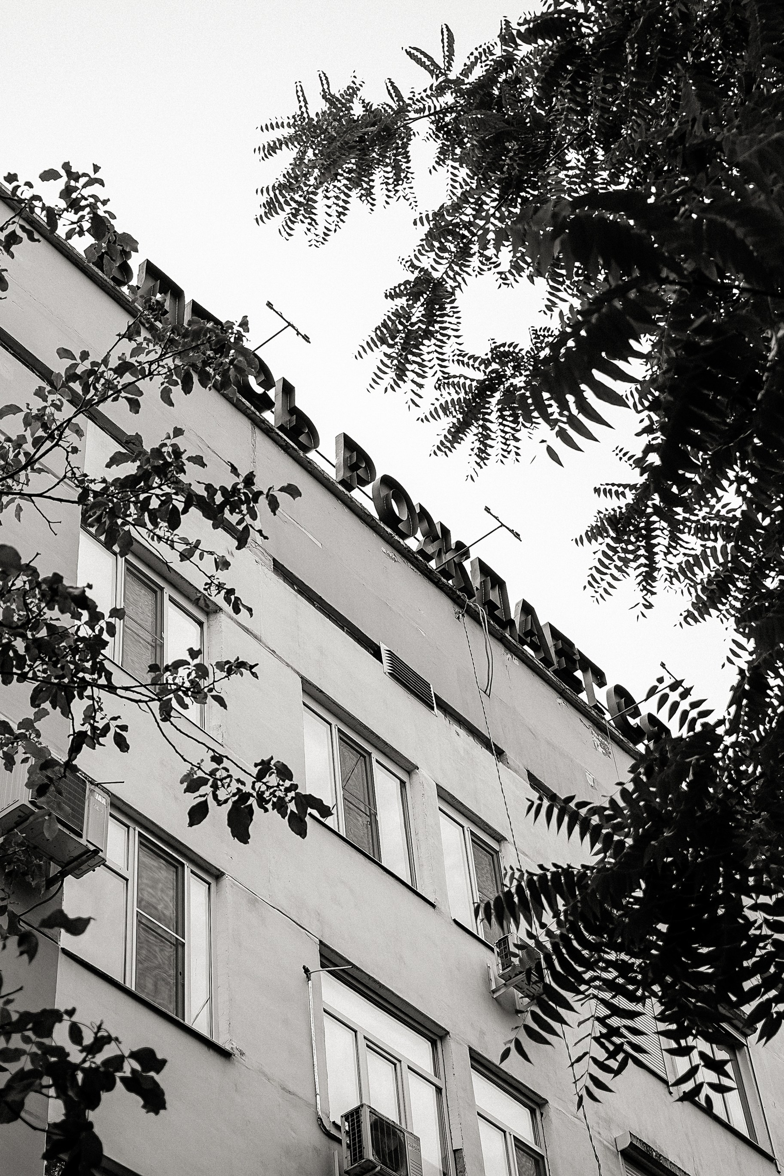 АНОНСЫ. Свадебный и семейный фотограф/видеограф в Краснодаре Наталья Осинская