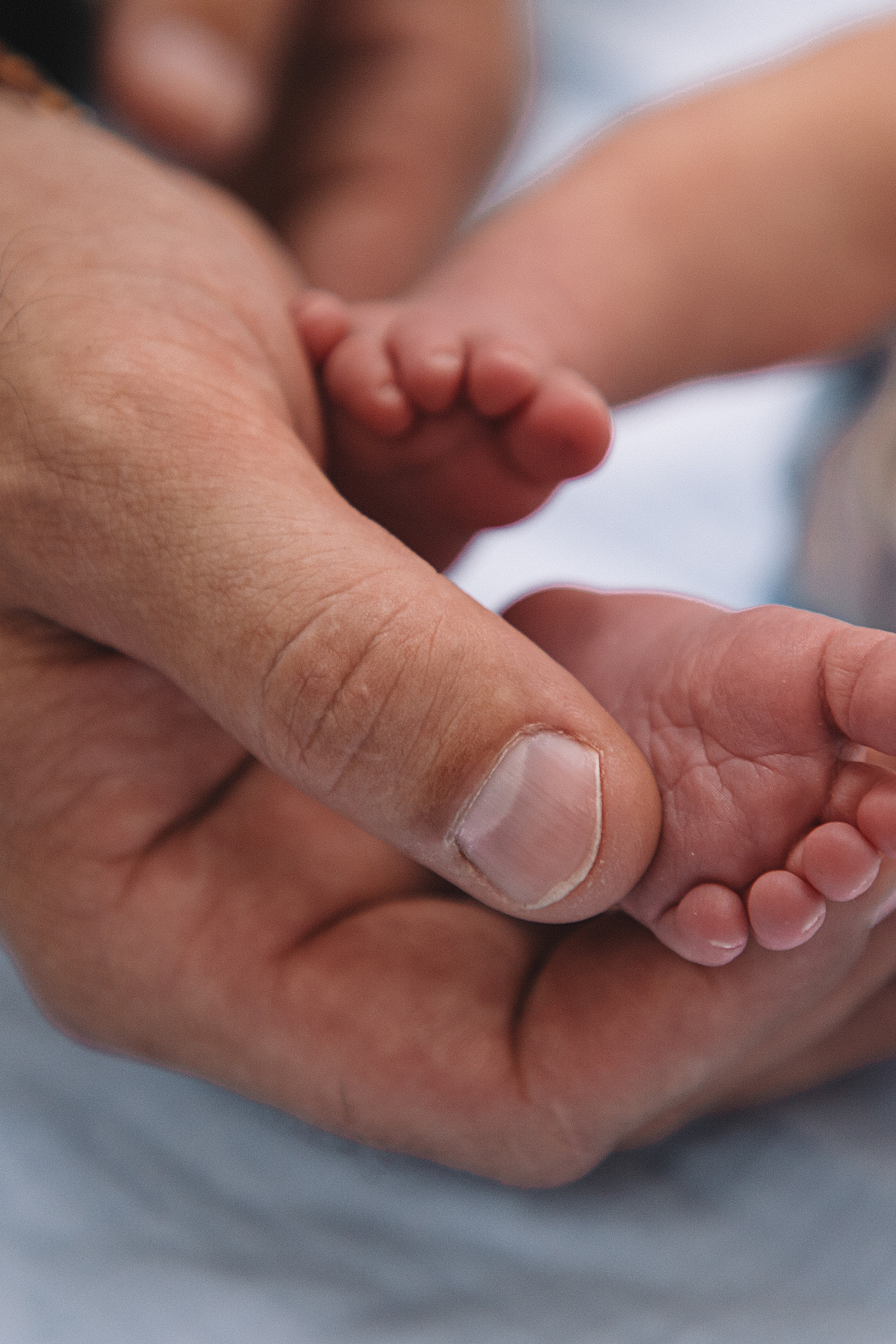 АНОНСЫ. Свадебный и семейный фотограф/видеограф в Краснодаре Наталья Осинская