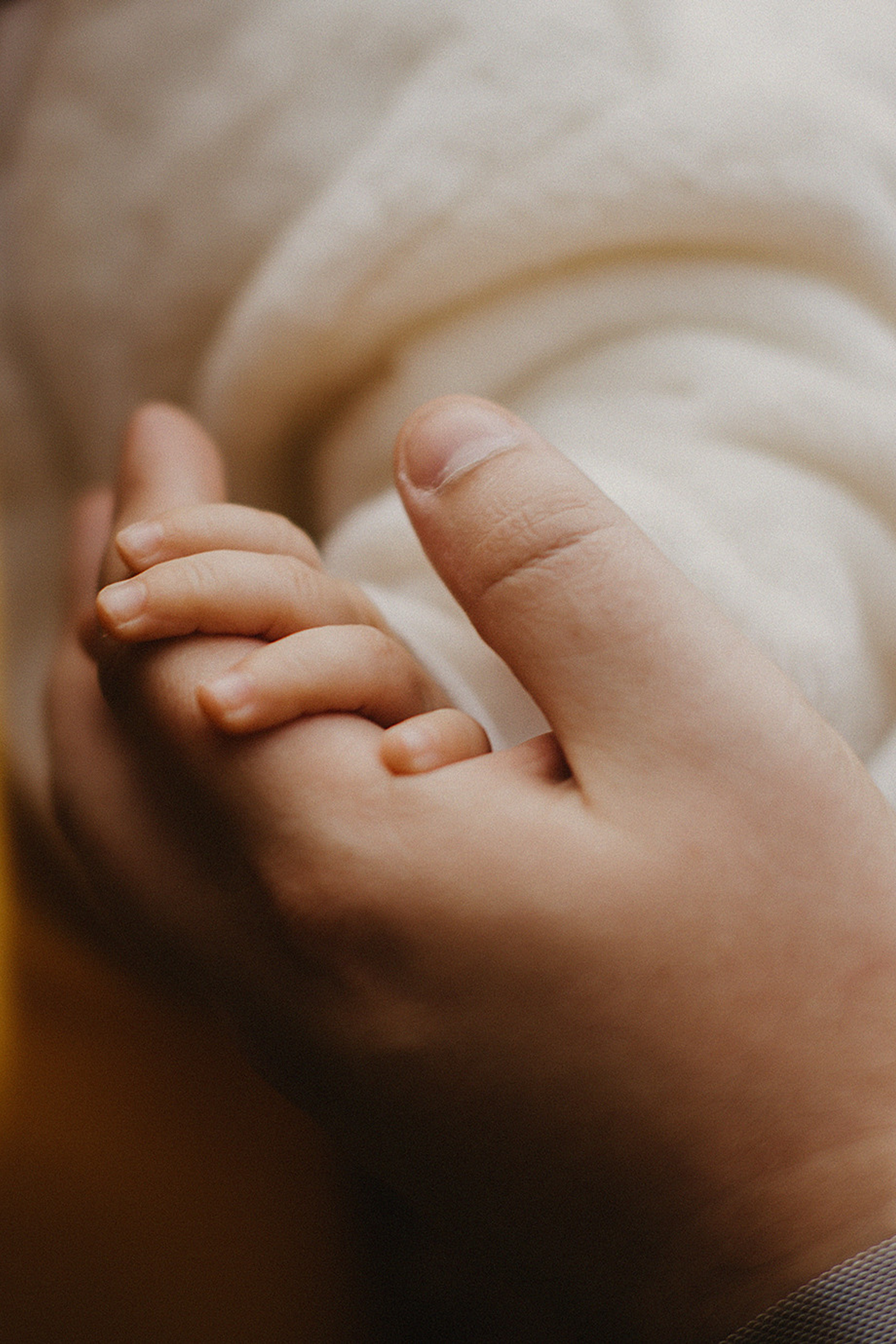 АНОНСЫ. Свадебный и семейный фотограф/видеограф в Краснодаре Наталья Осинская