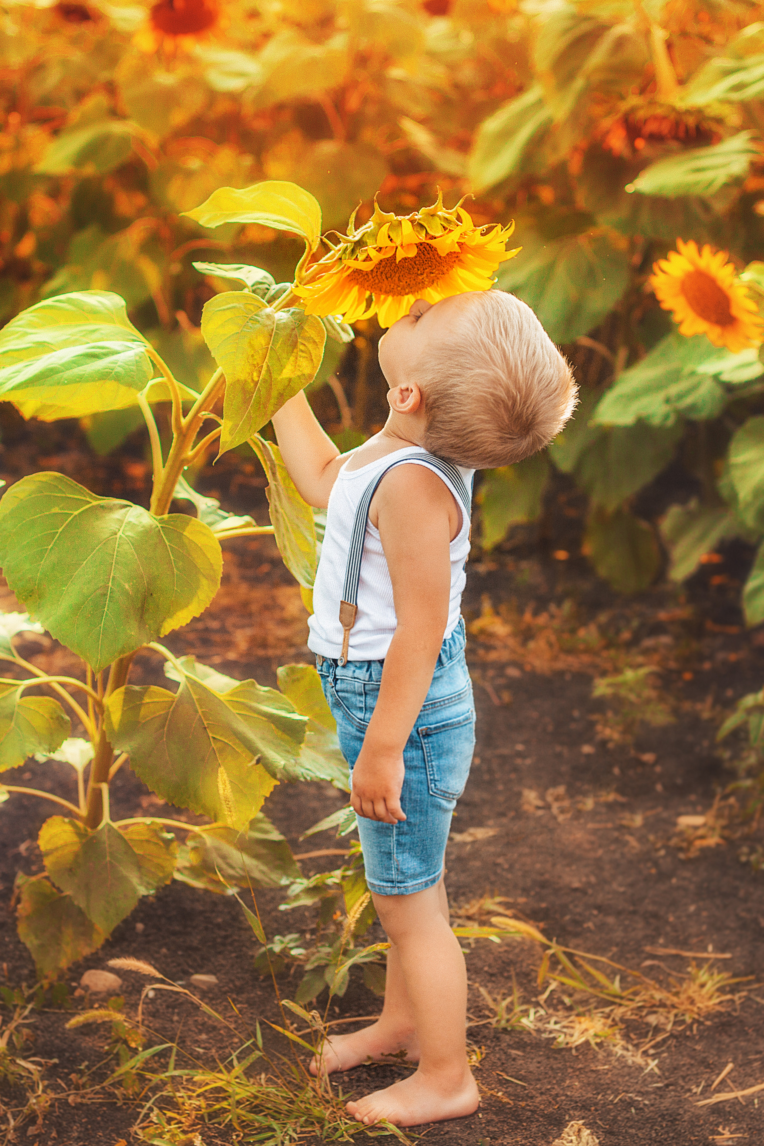 АНОНСЫ. Свадебный и семейный фотограф/видеограф в Краснодаре Наталья Осинская