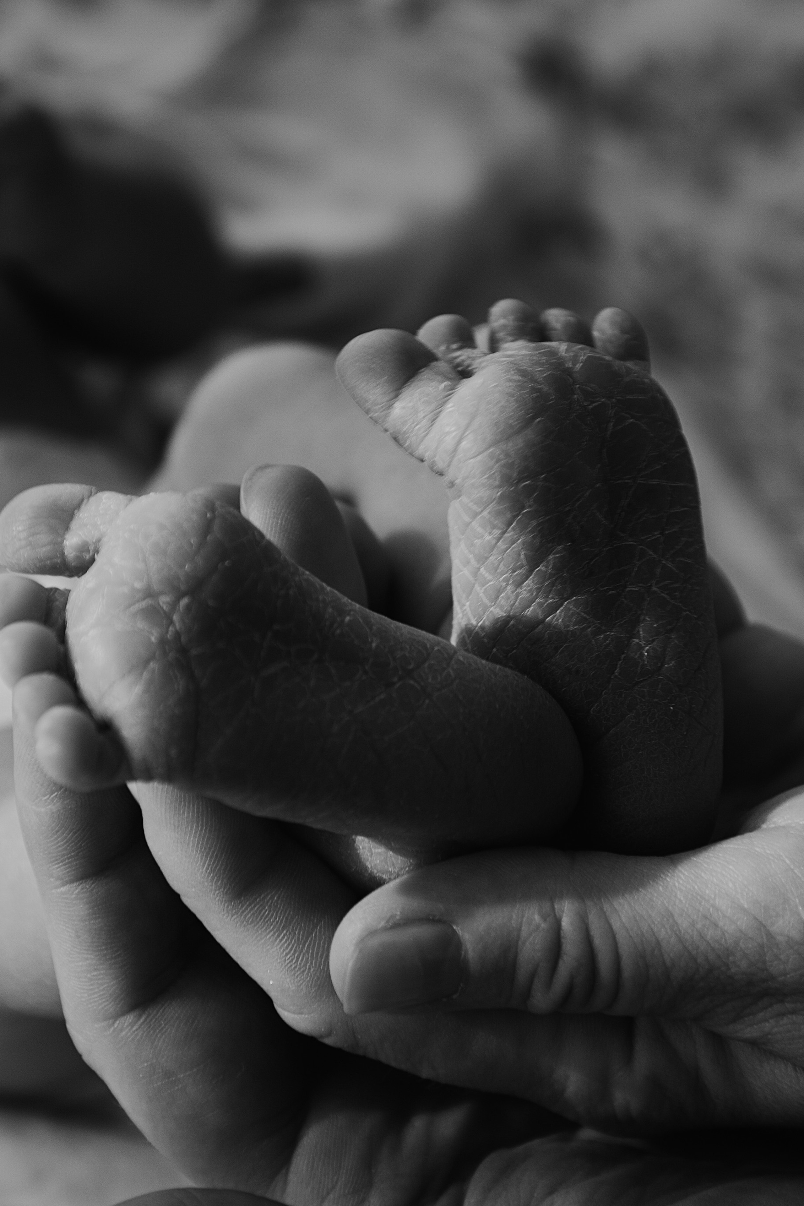 АНОНСЫ. Свадебный и семейный фотограф/видеограф в Краснодаре Наталья Осинская