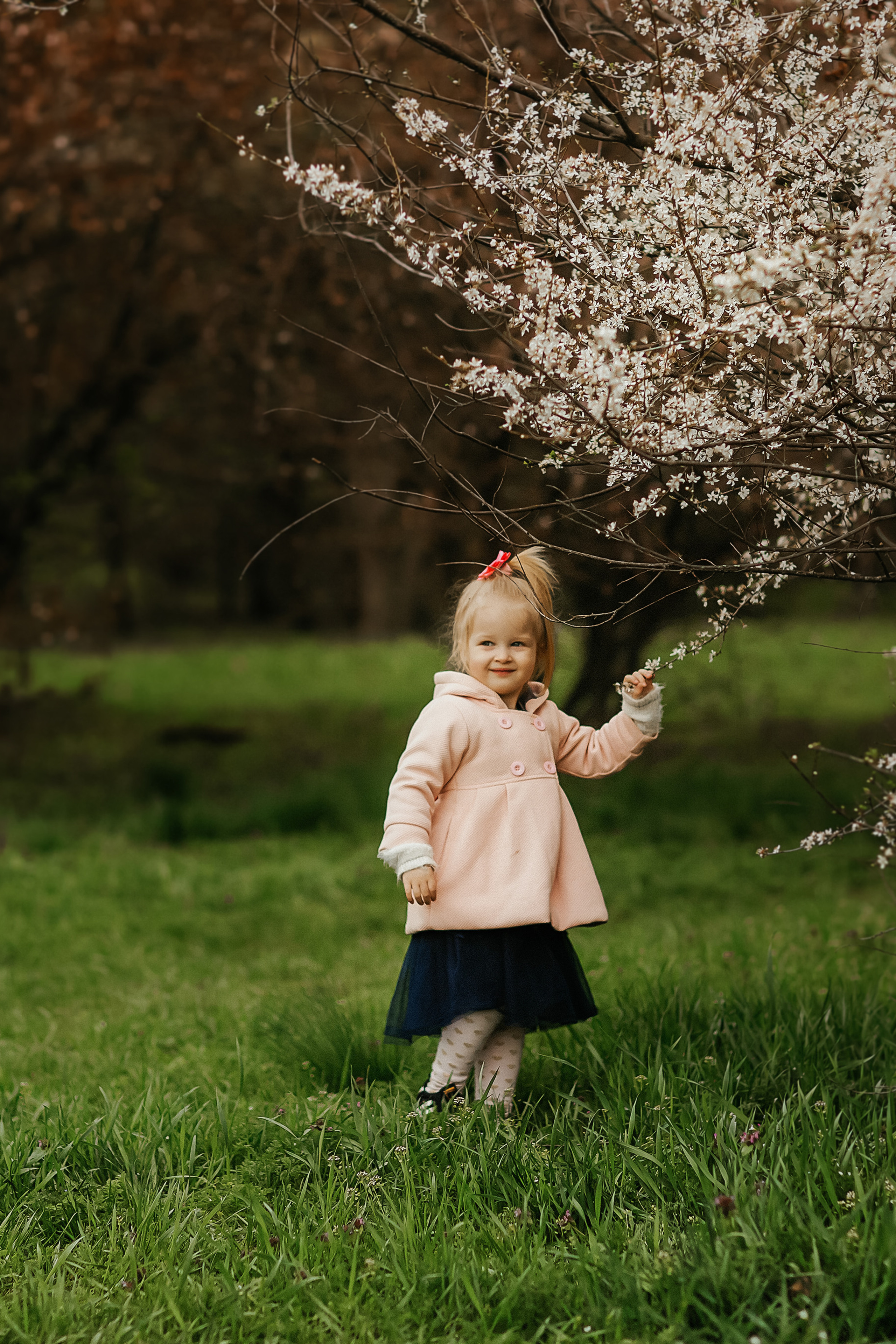 АНОНСЫ. Свадебный и семейный фотограф/видеограф в Краснодаре Наталья Осинская