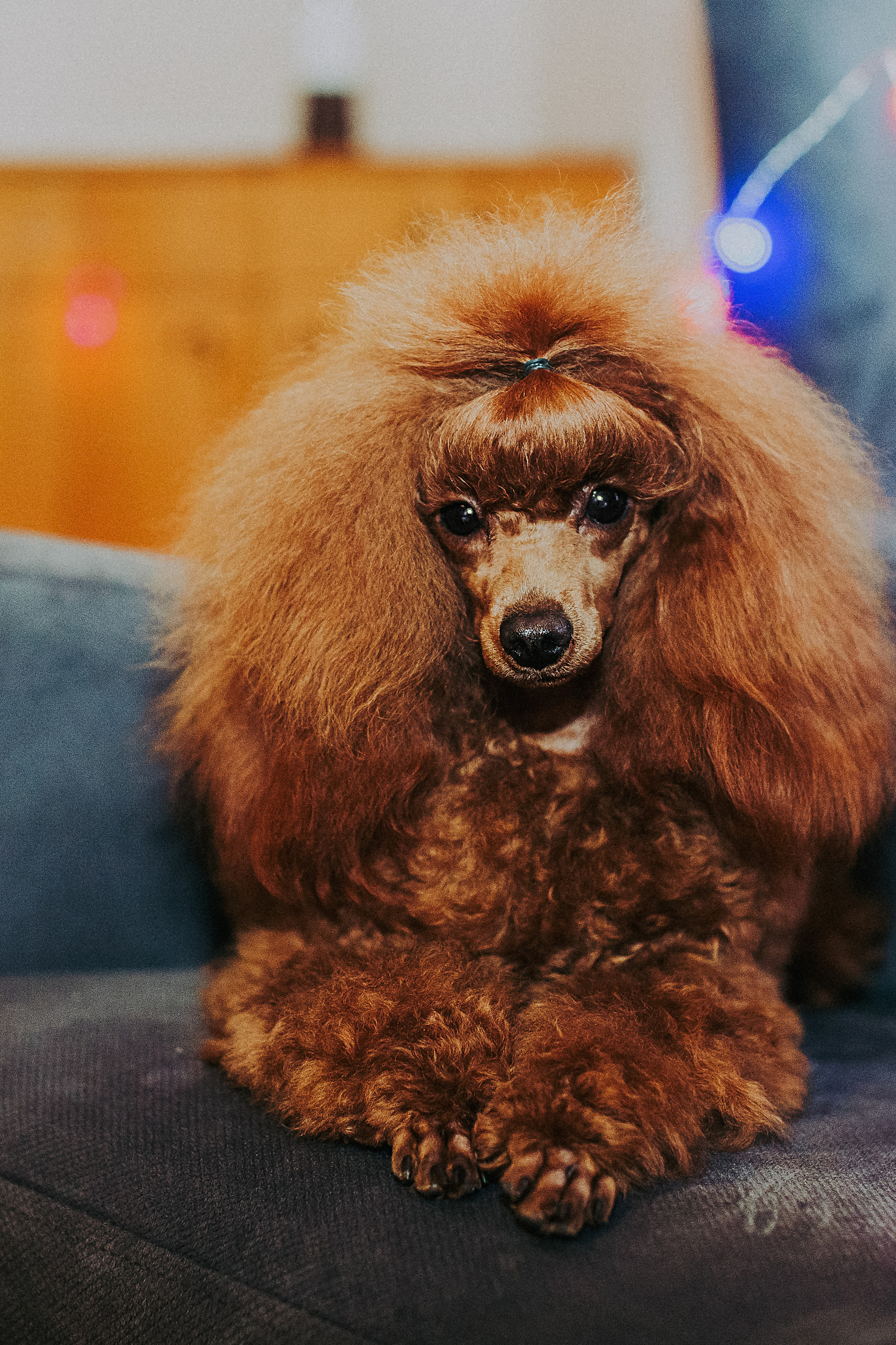 АНОНСЫ. Свадебный и семейный фотограф/видеограф в Краснодаре Наталья Осинская