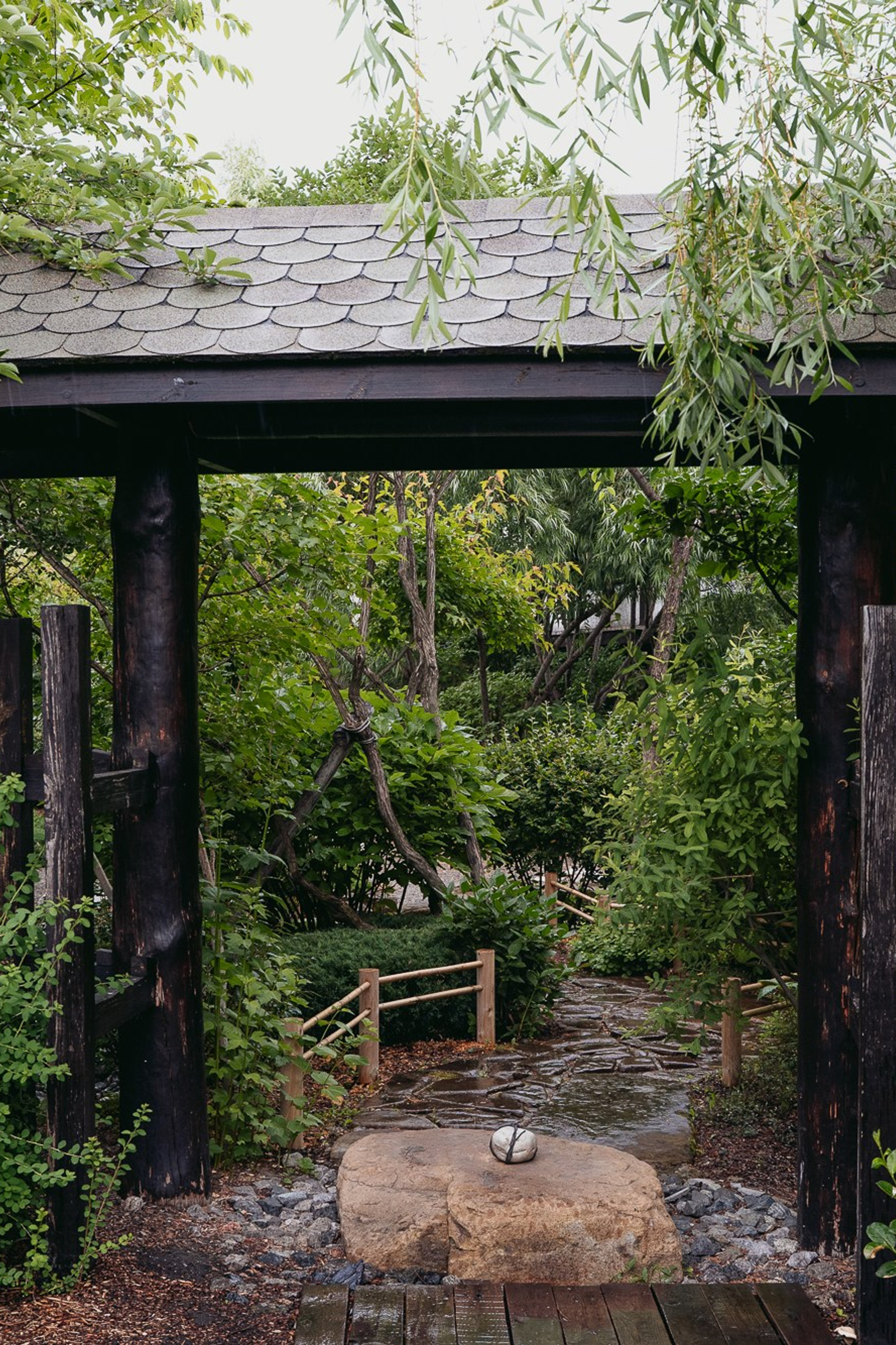 Блог. Яна Жуковская, фотограф Тюмень