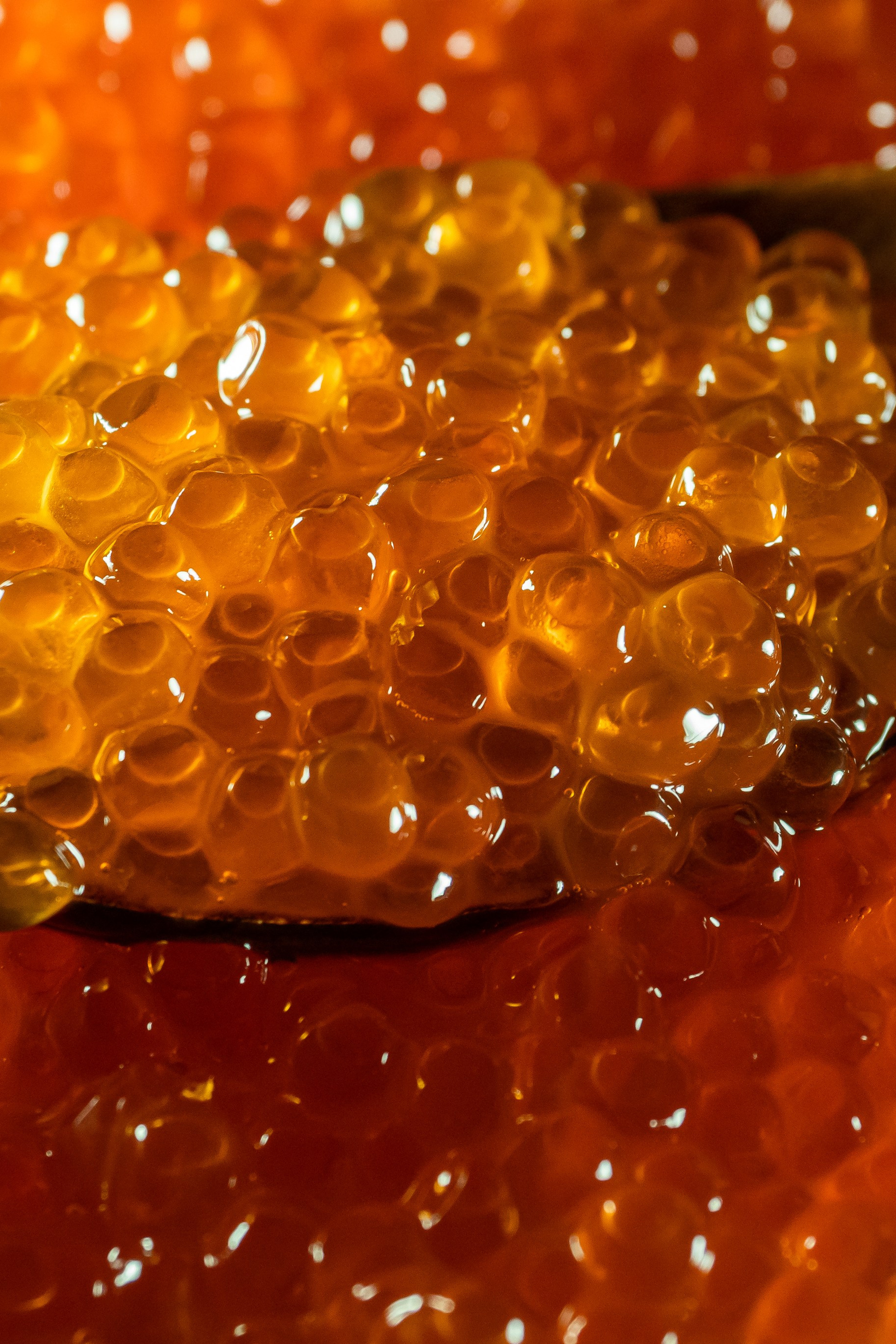 Контент-съемка для блогеров и брендов