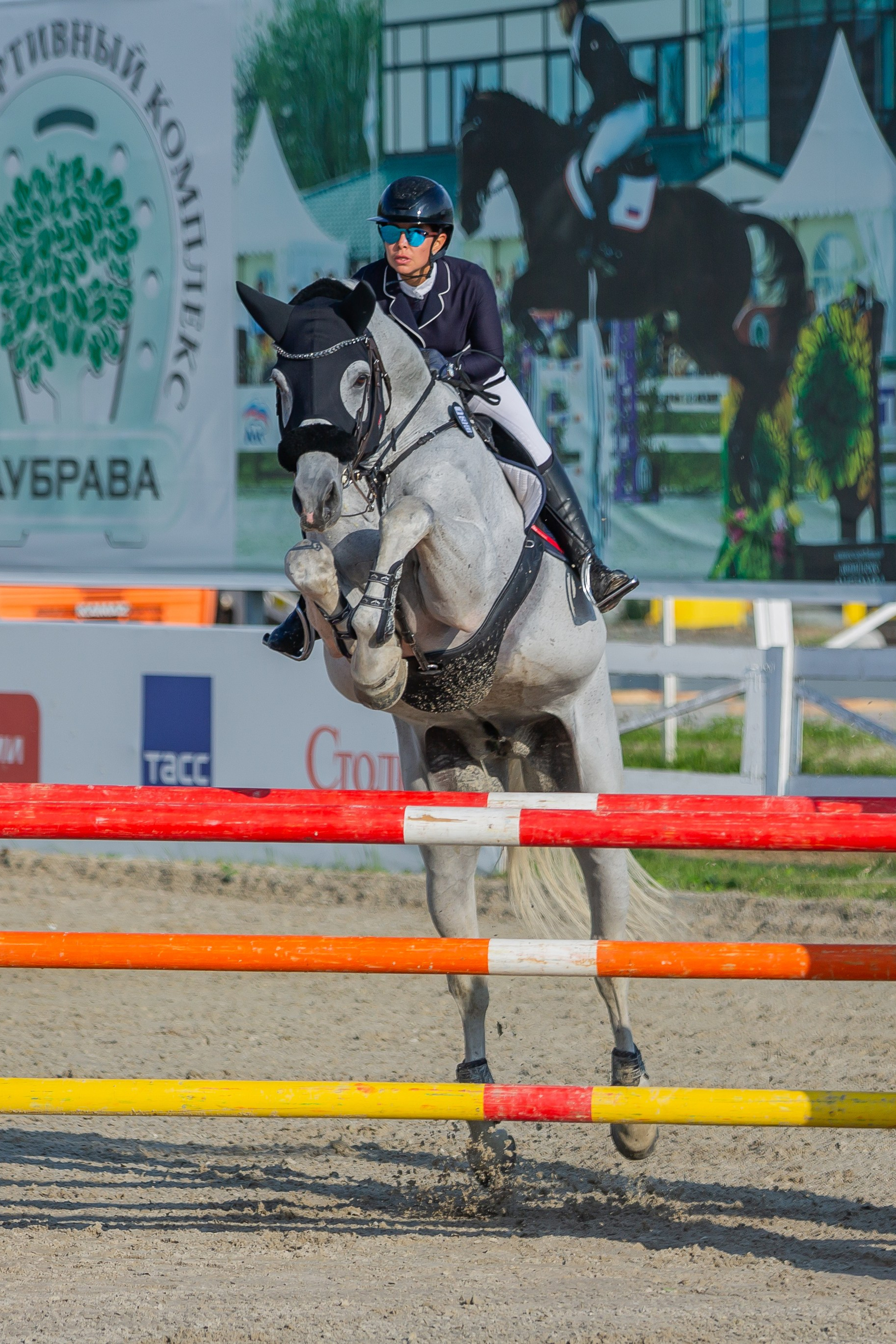Истории. Фотограф Анималист Наталья Корс Екатеринбург