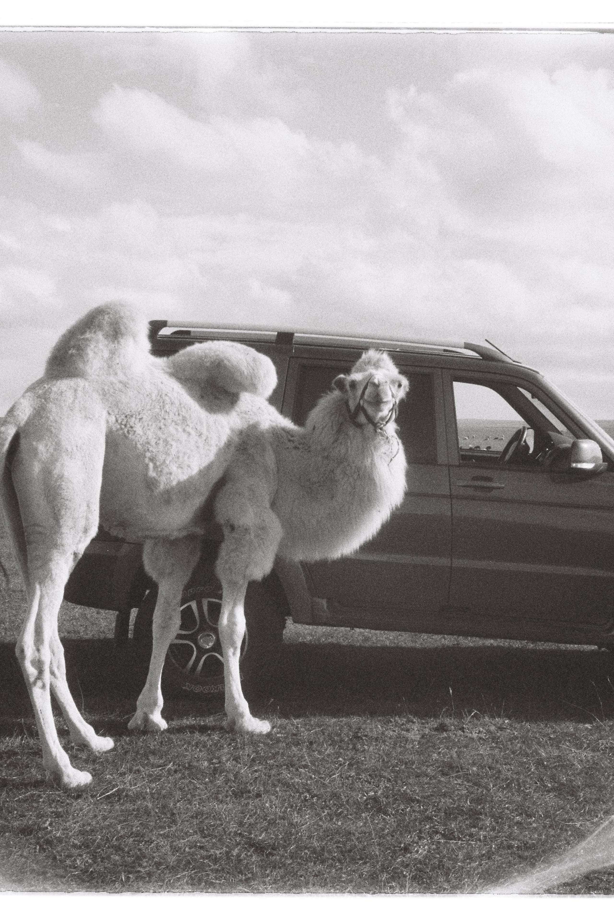 INSIDE AND OUT. Annie is filming