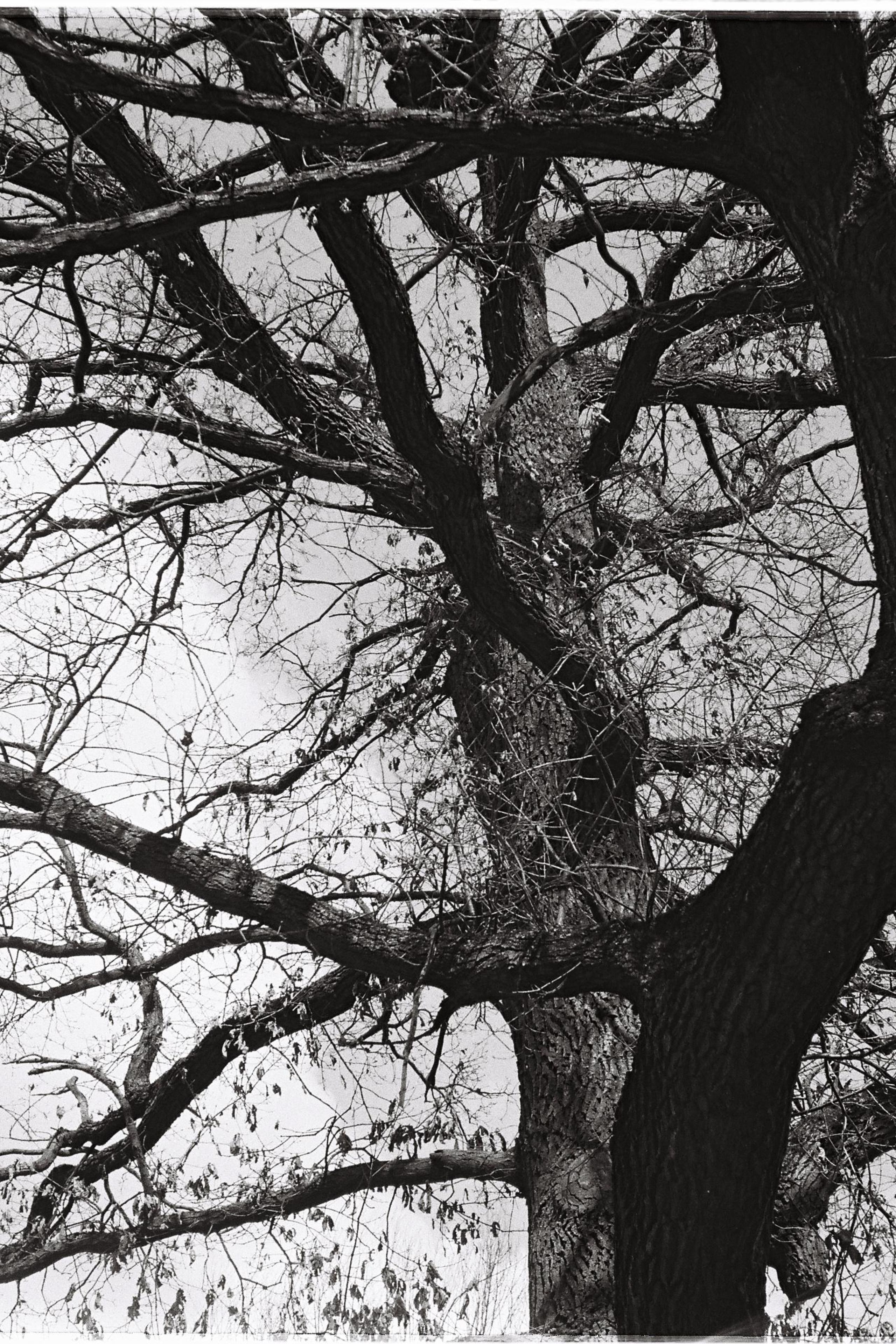 INSIDE AND OUT. Annie is filming