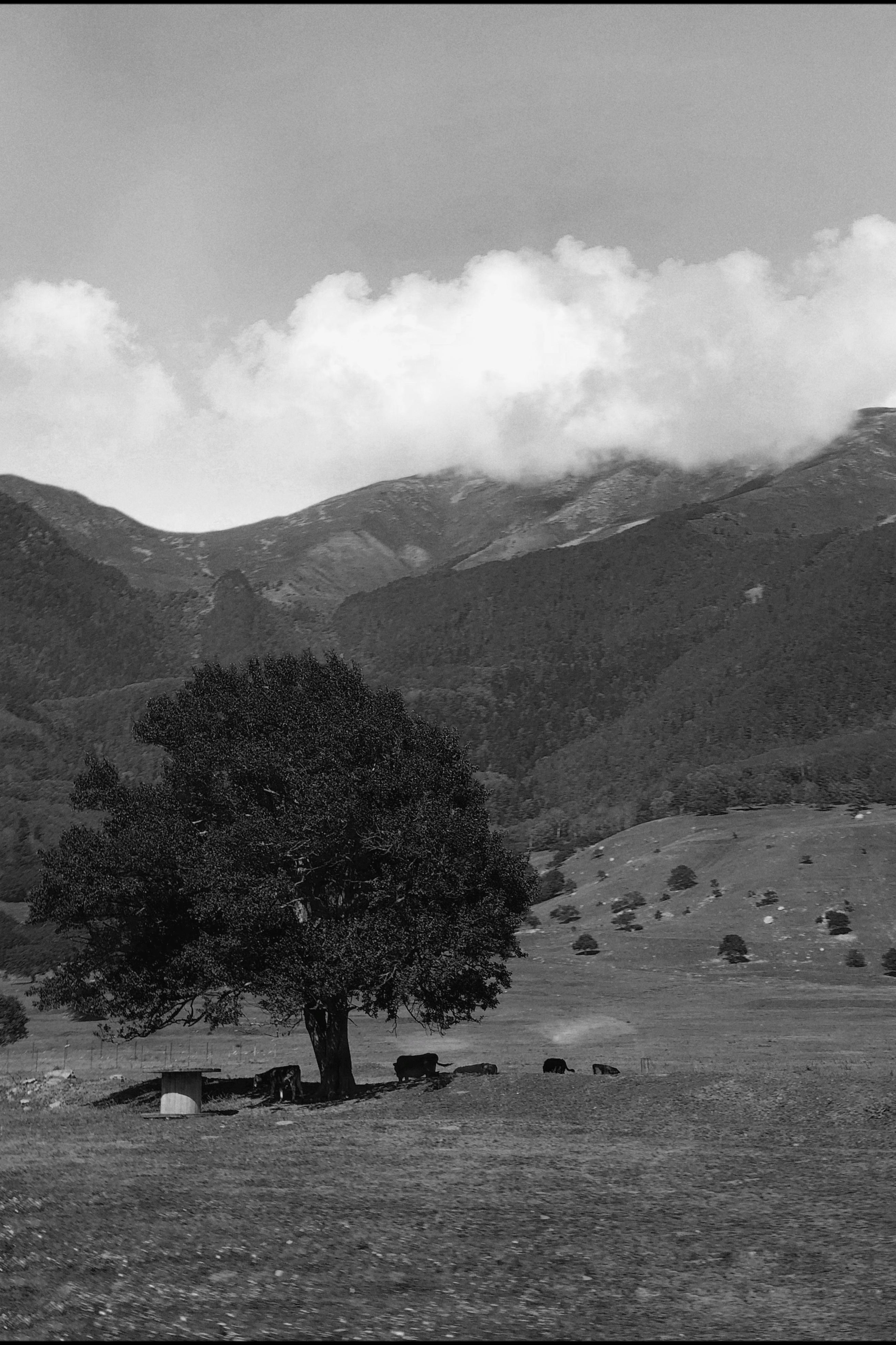 INSIDE AND OUT. Annie is filming