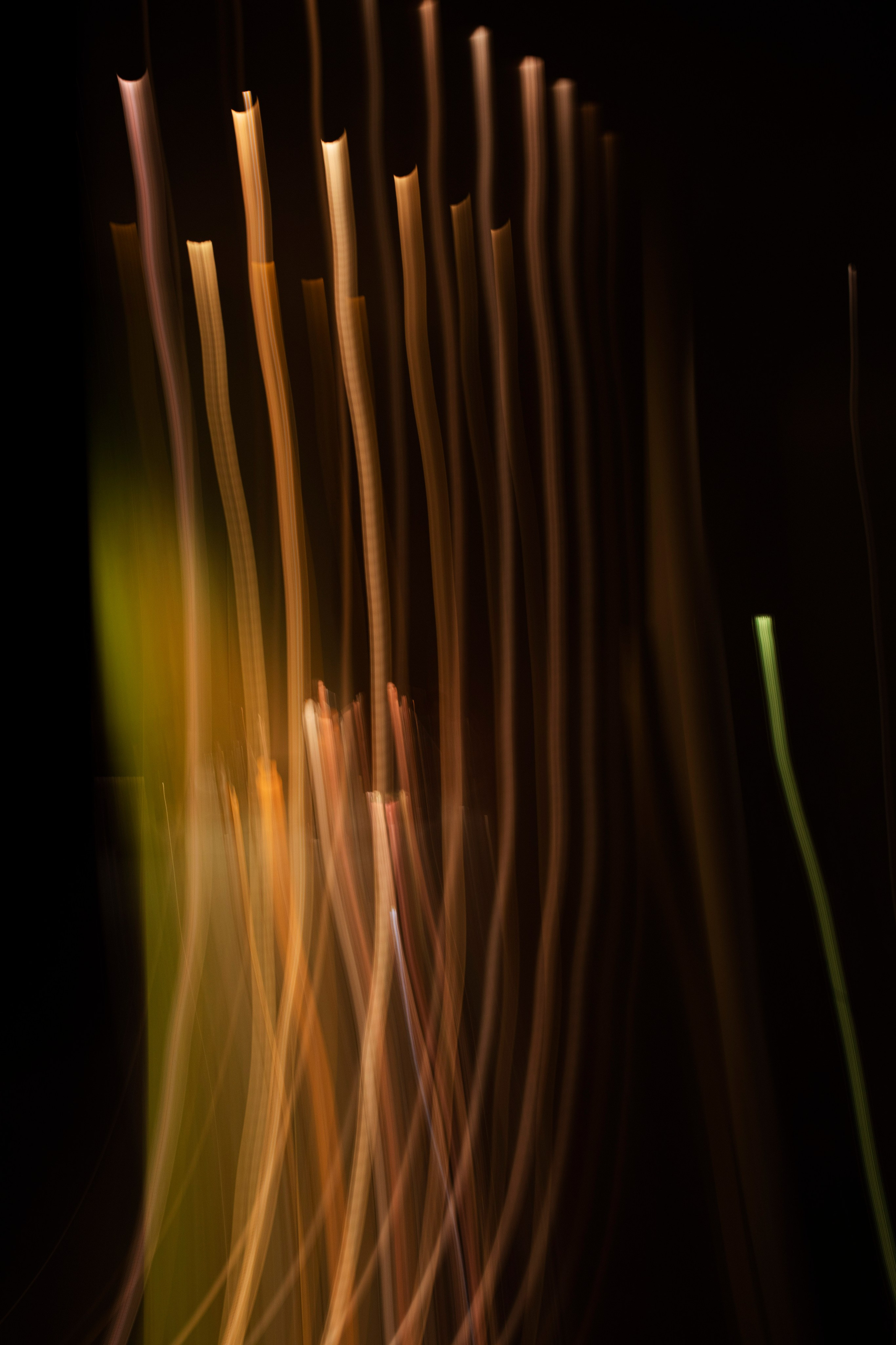 Елена Фролова