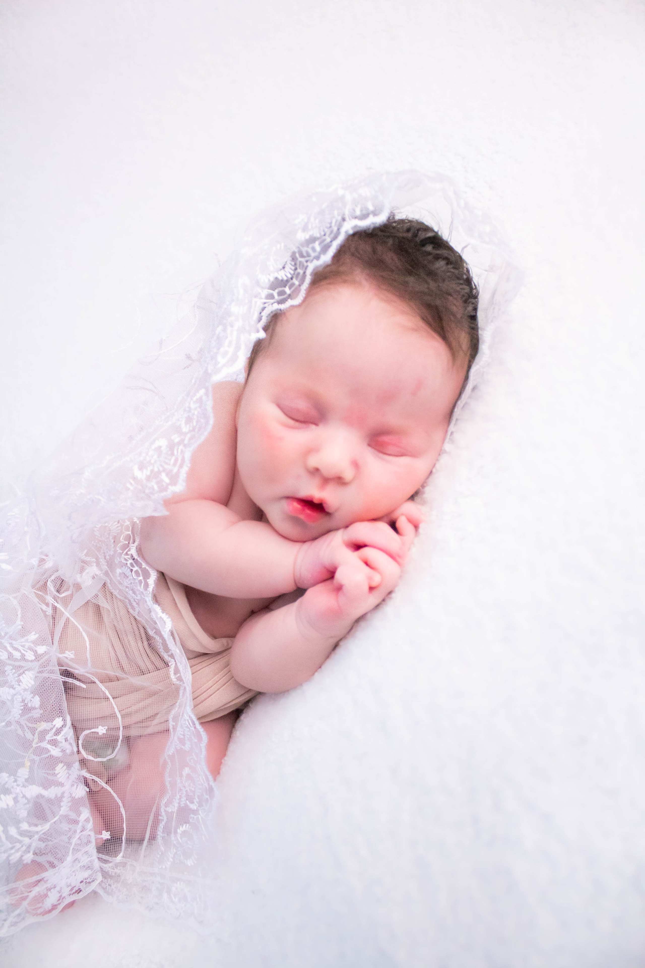 Истории. Violinn.Photo