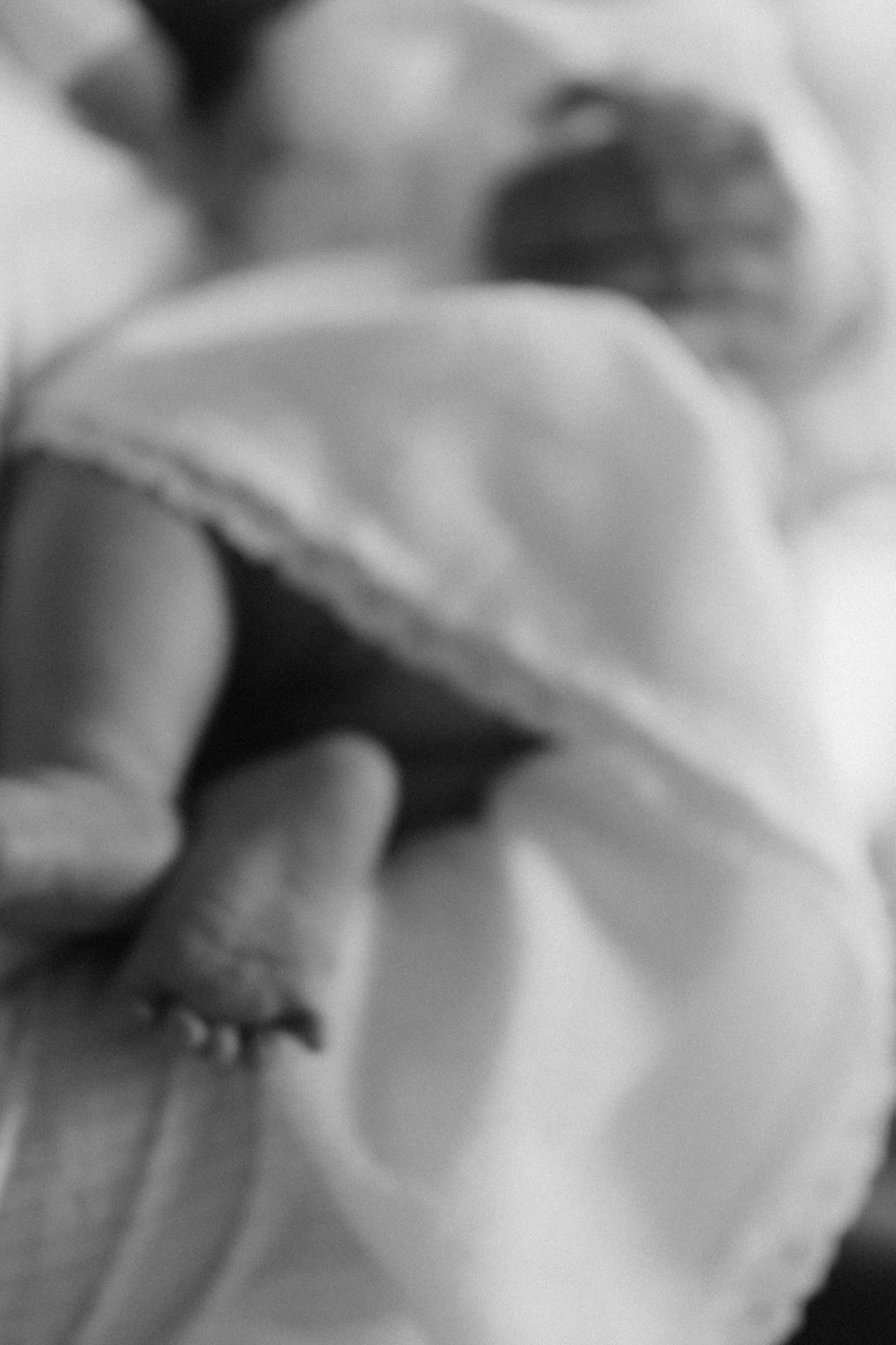 Отзывы. Фотограф Ольга Мызникова