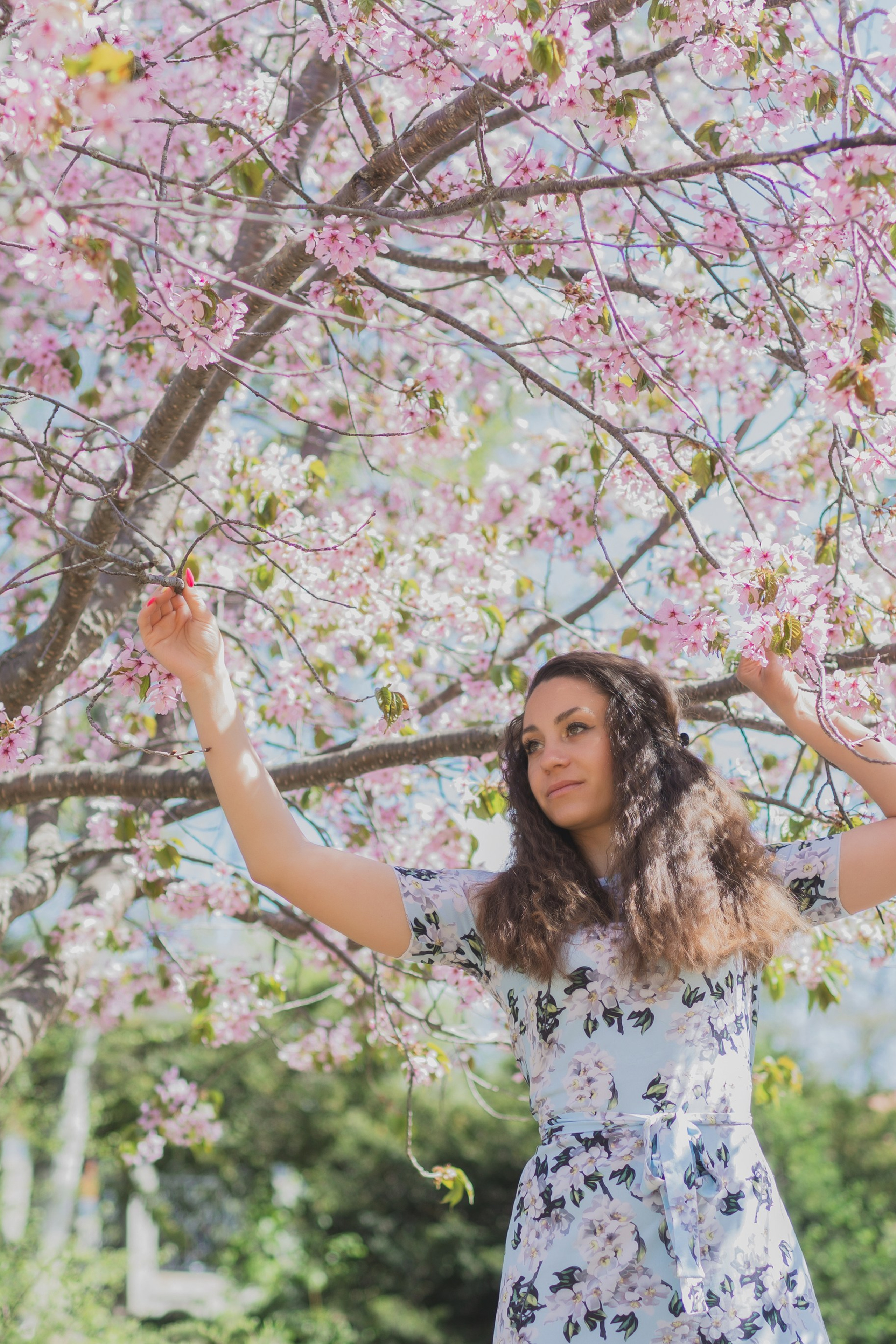 Настя и сакура