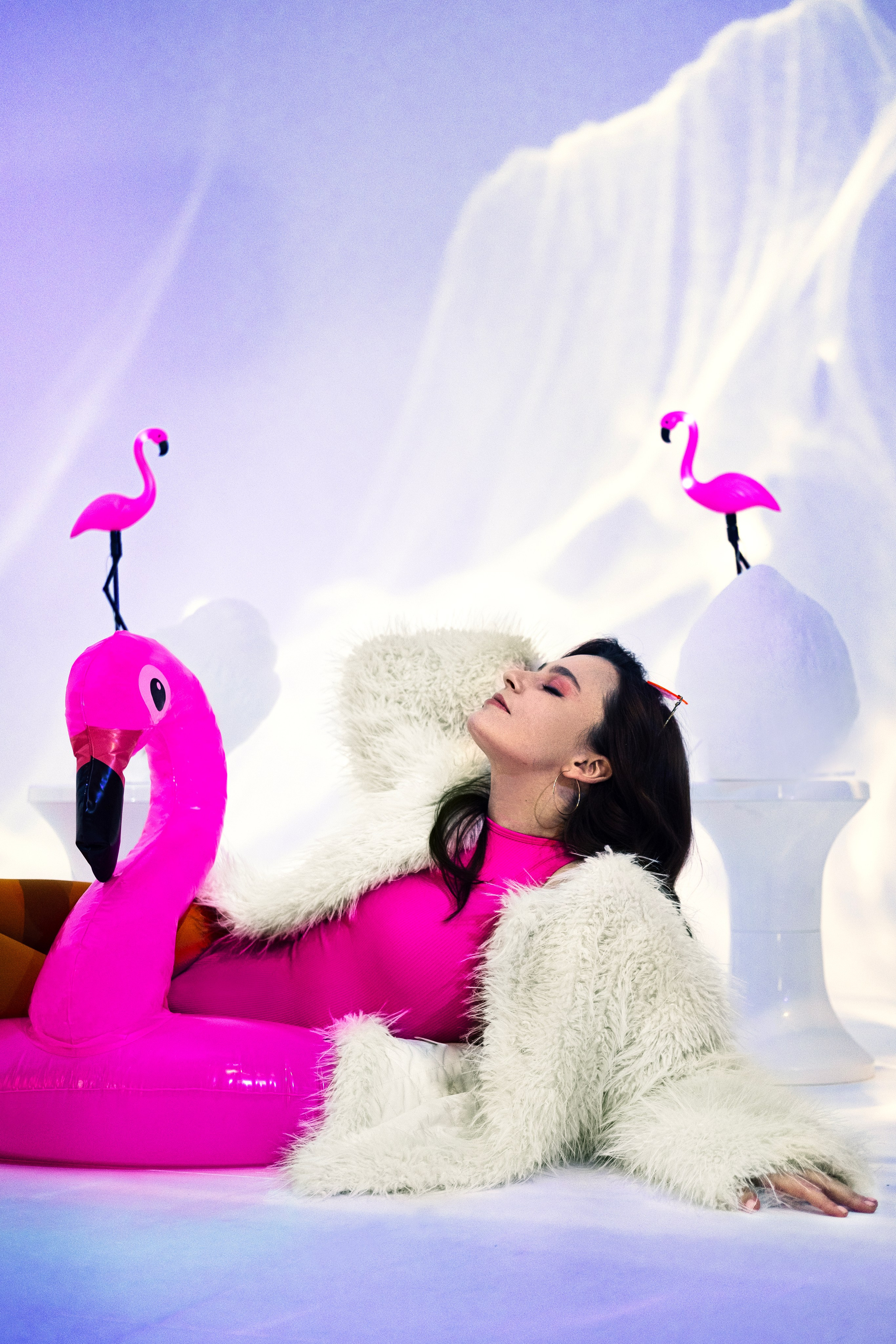 Розовый фламинго