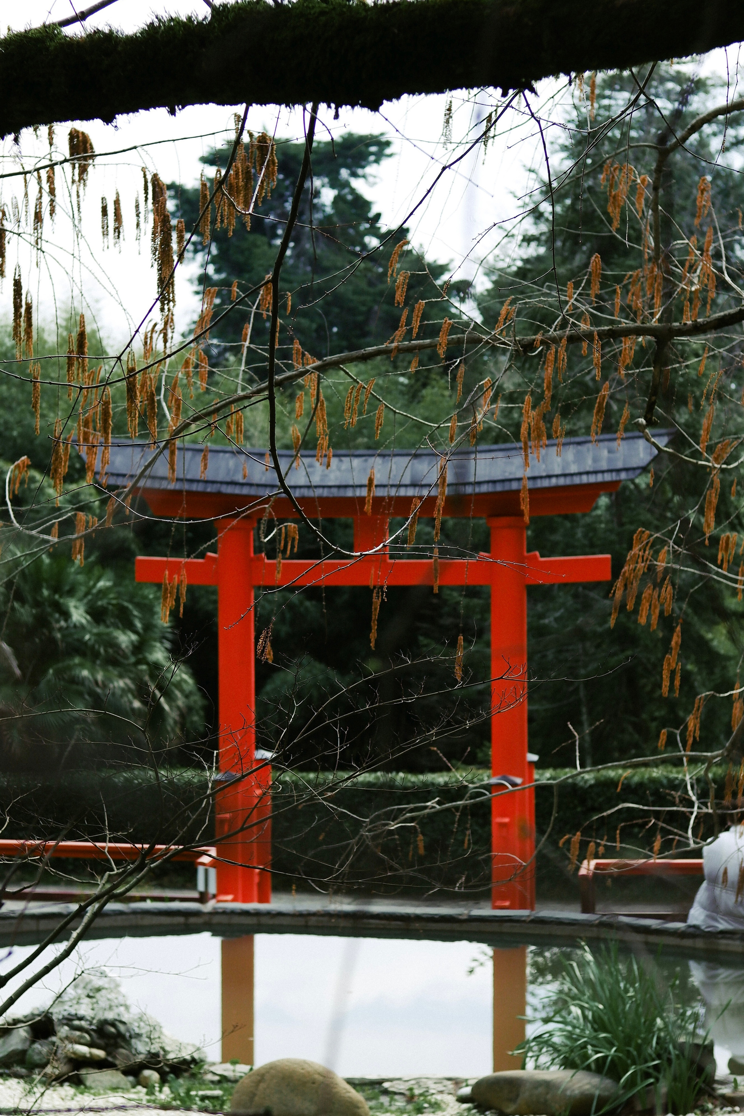 Street leaks 15/03/2023