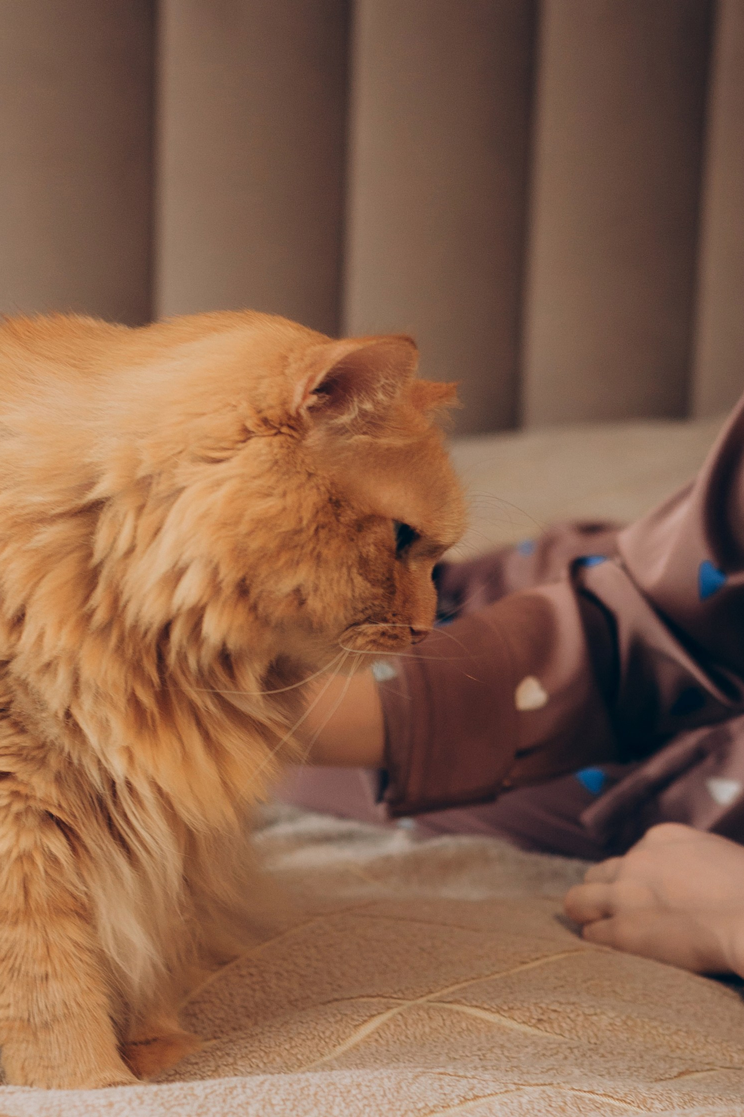 Ира и Миша. Домашняя фотосессия. Женский и семейный фотограф в Санкт-Петербурге Екатерина Симонова