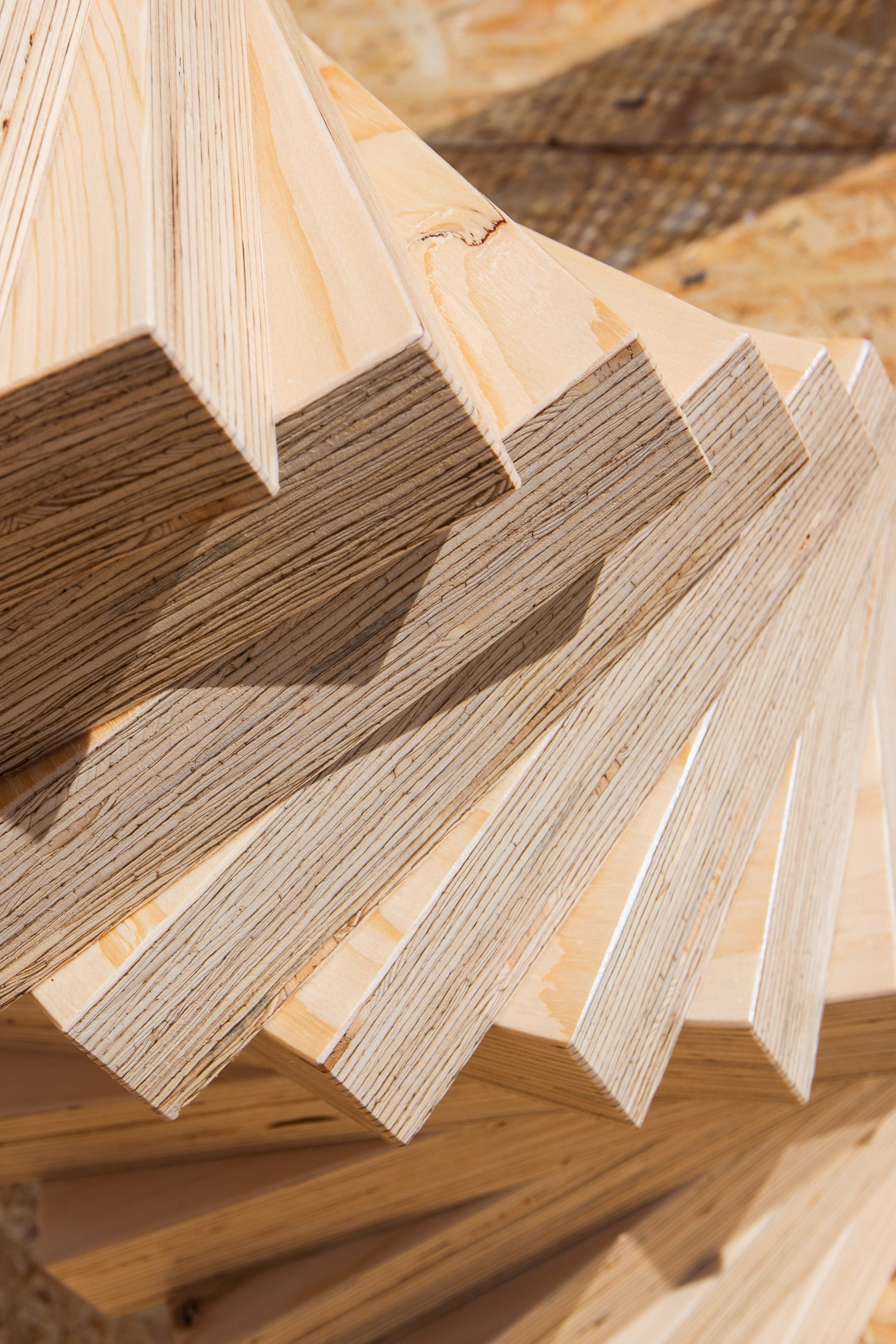 Репортаж. Репортажный и свадебный фотограф в Москве Иоанн Соломон