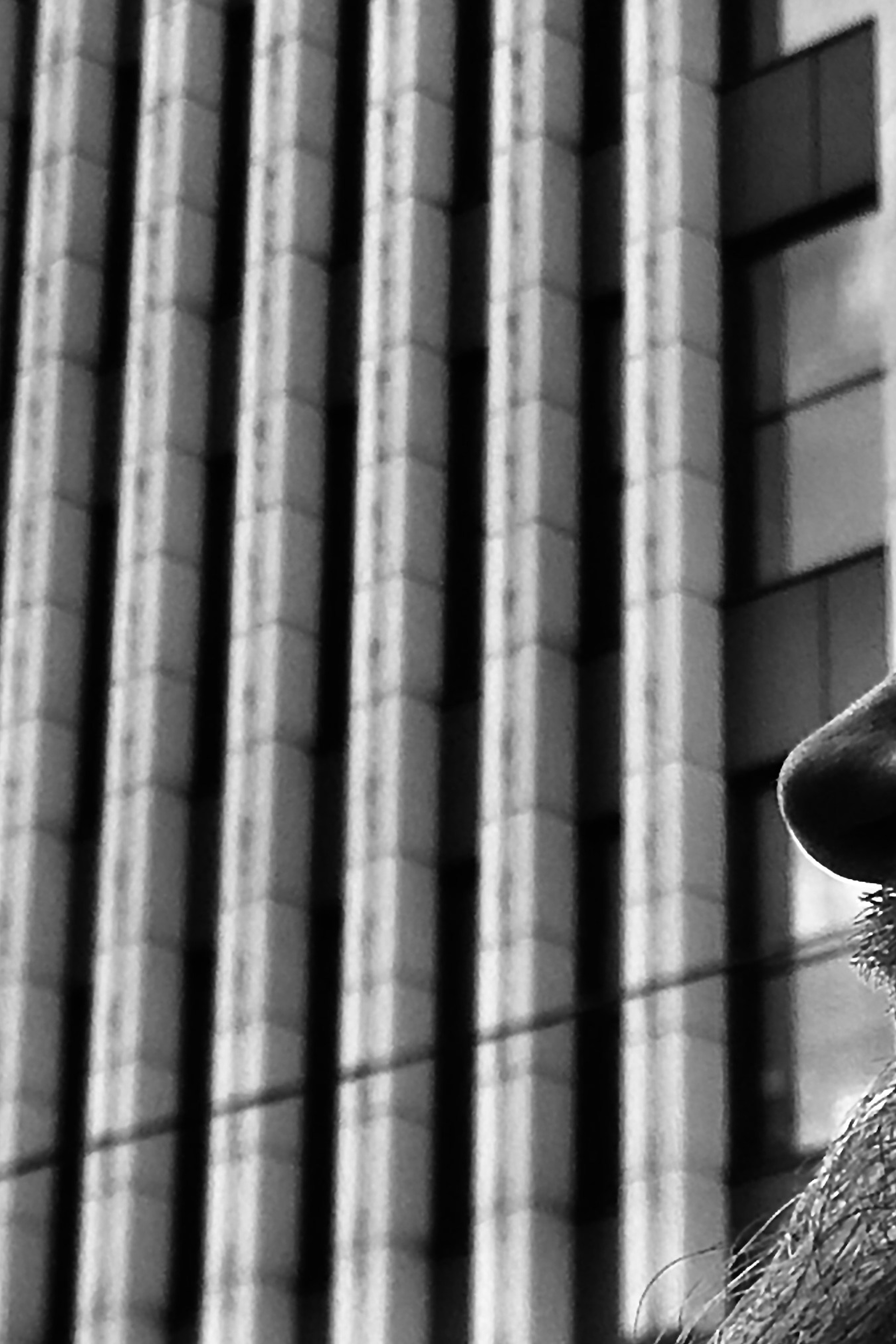 Портрет. Репортажный и свадебный фотограф в Москве Иоанн Соломон