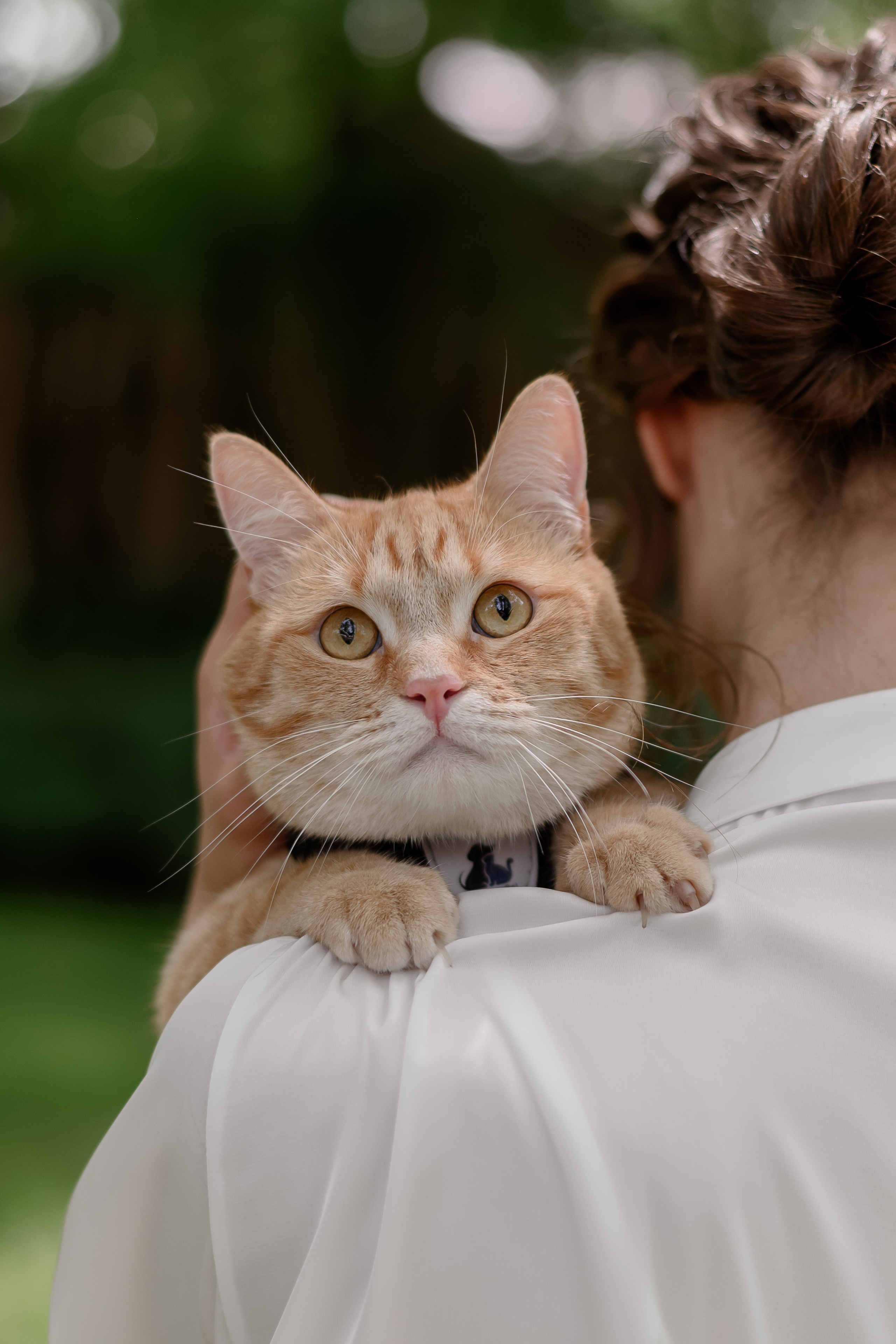 Дмитрий и Татьяна. Свадебный организатор в Ростове-на-Дону Яснов Роман