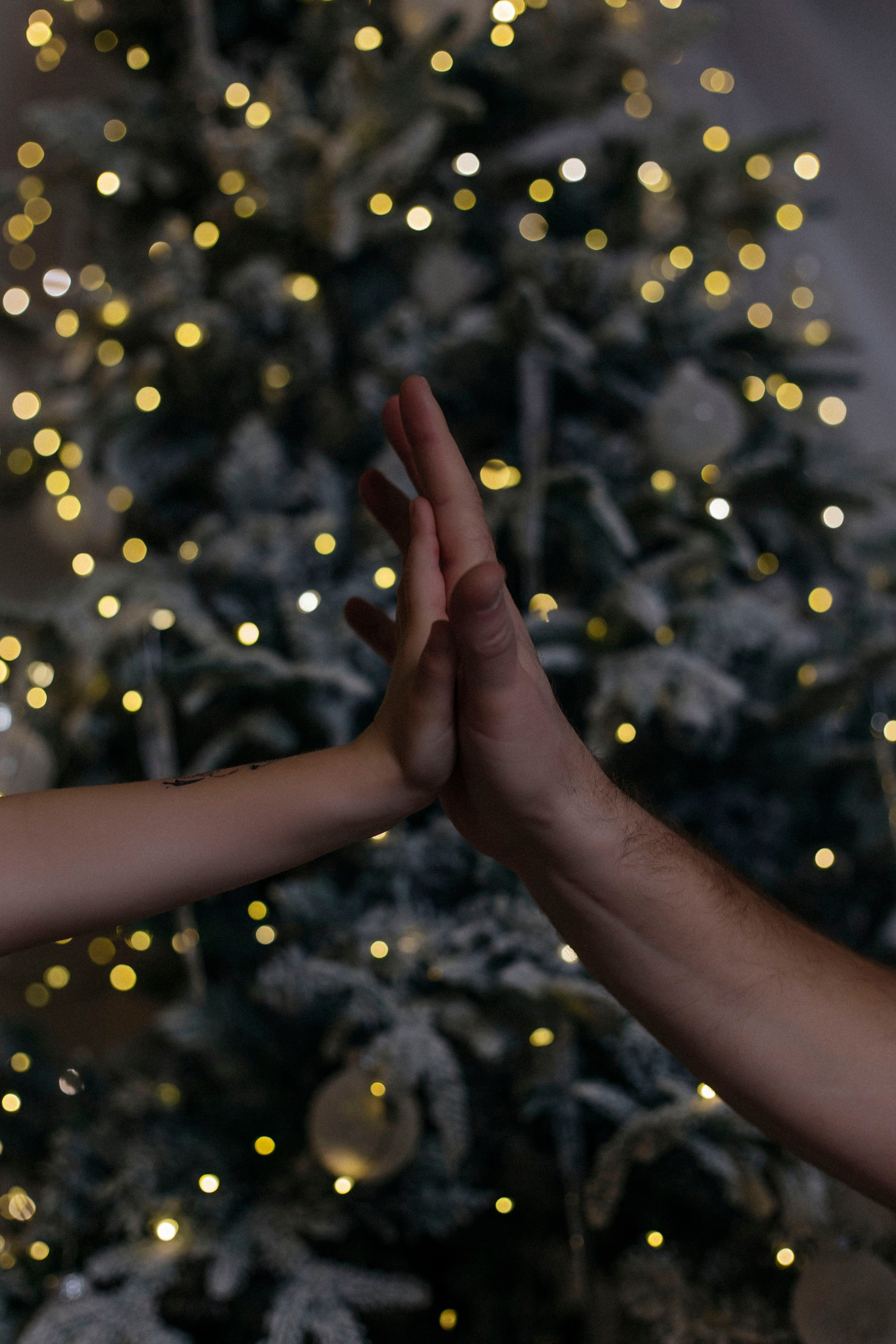 Семейная съёмка