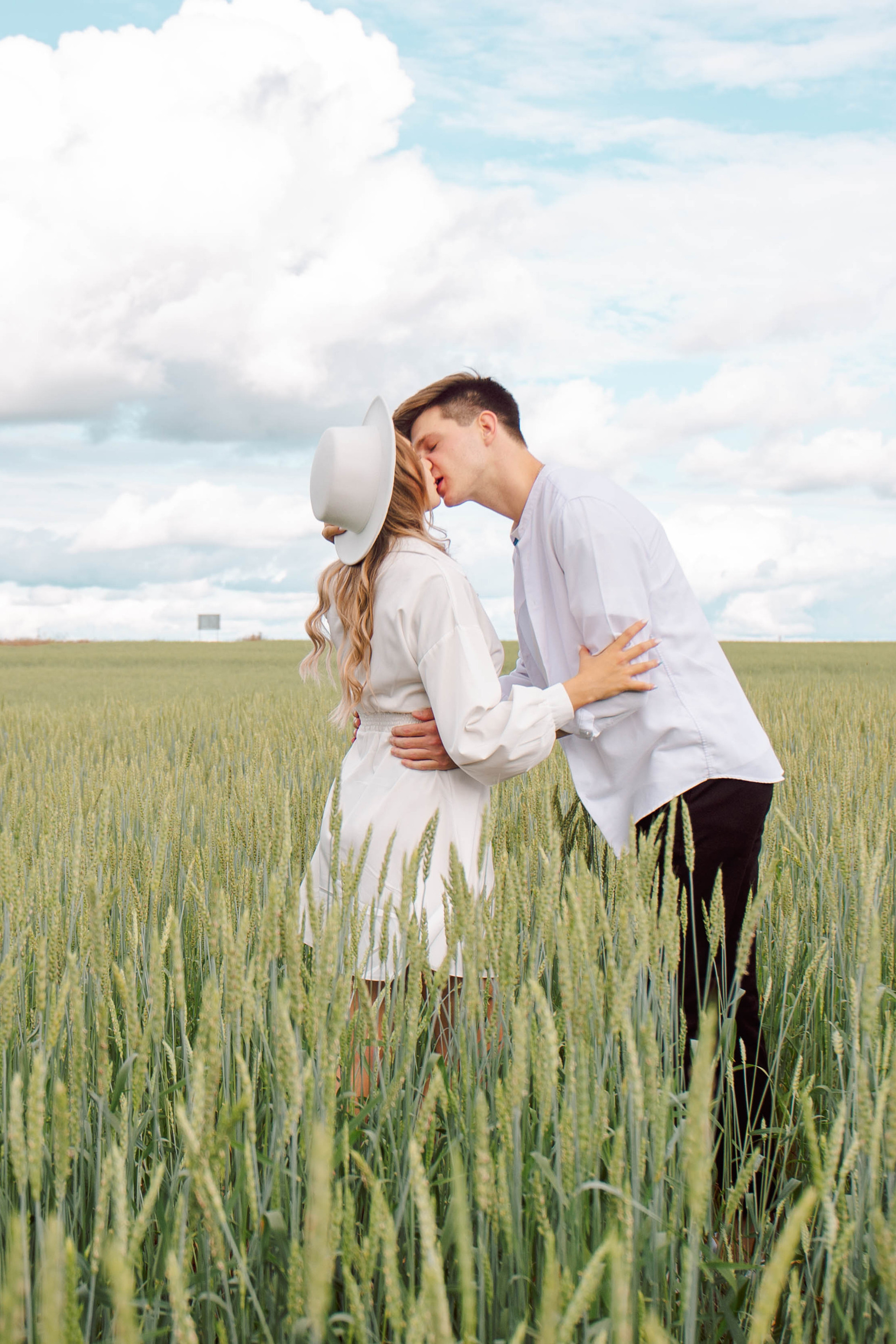 Лето в поле