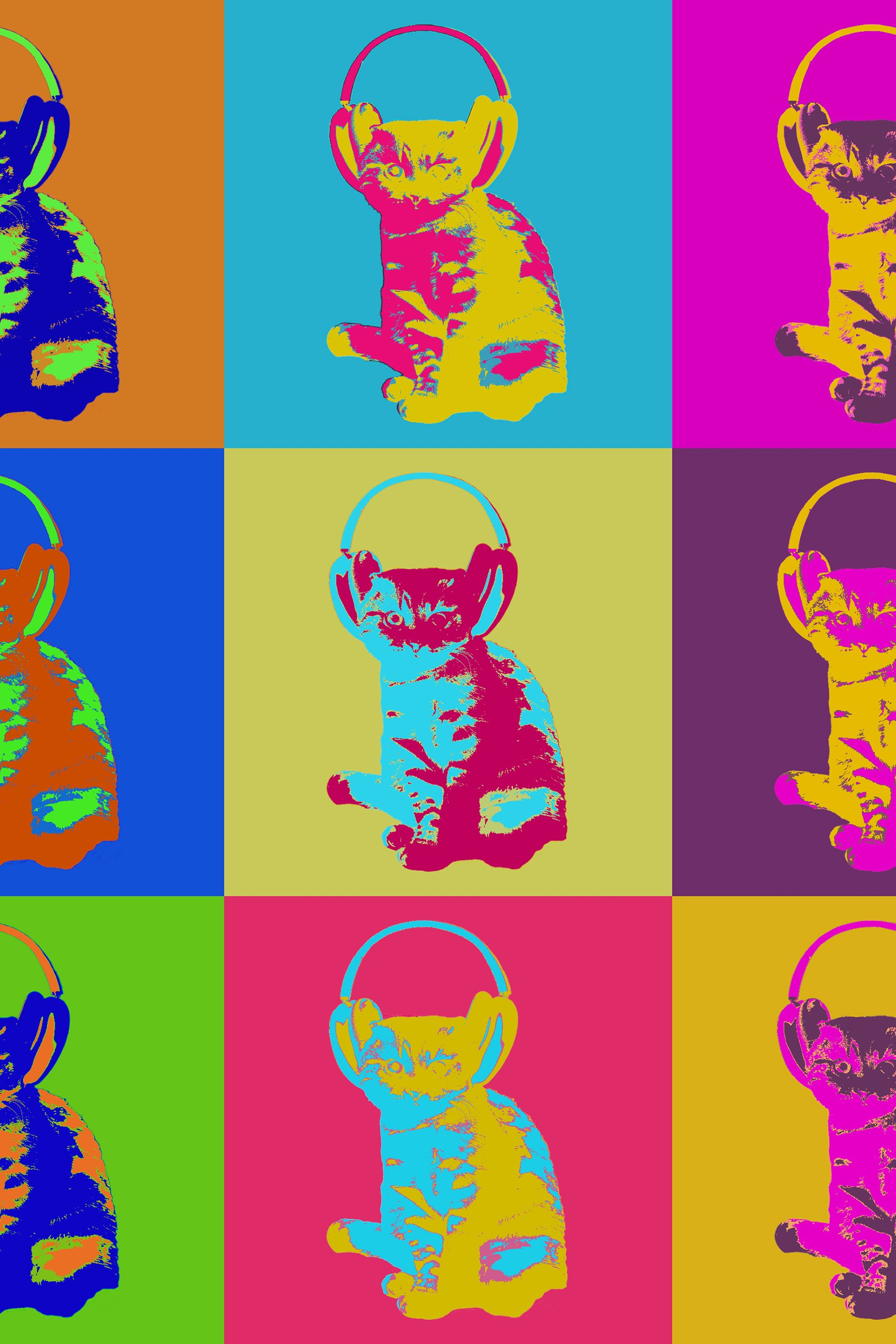 Comics «Obey the cat»