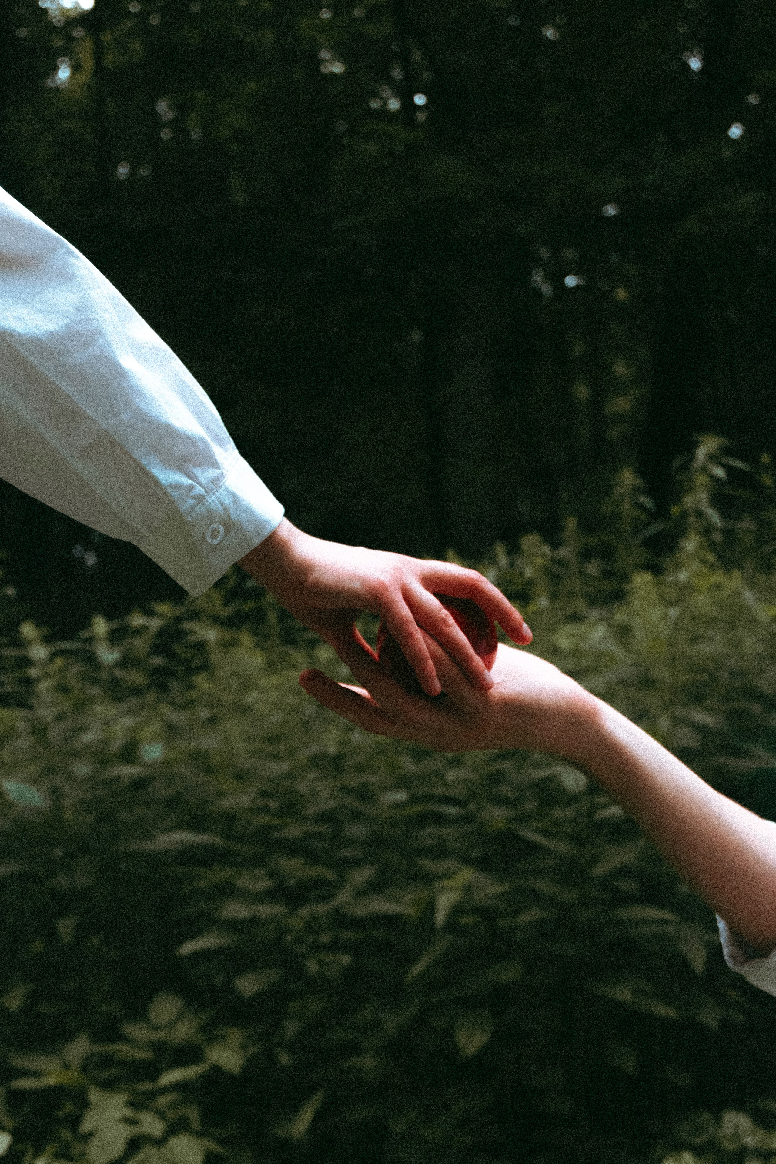 Лена и Саша. Фотограф из Москвы — DASHA NOVA | Авторская фотография в разных жанрах