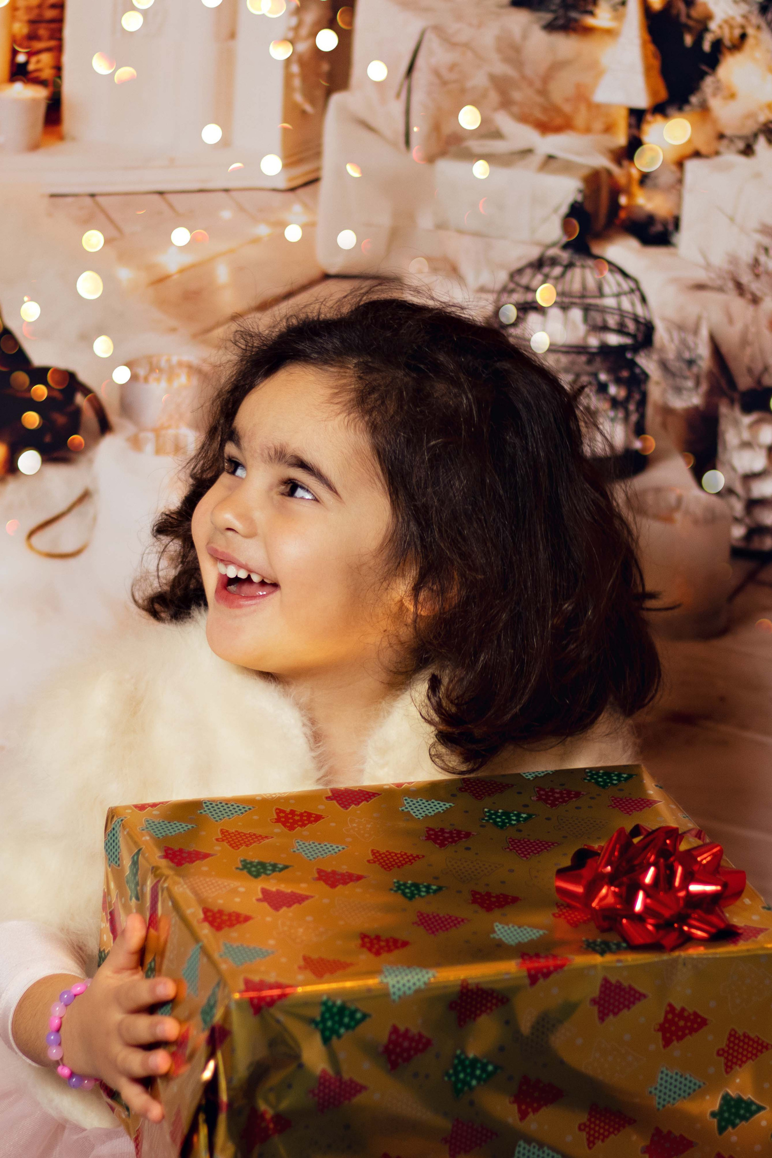 CHRISTMAS SHOOTS