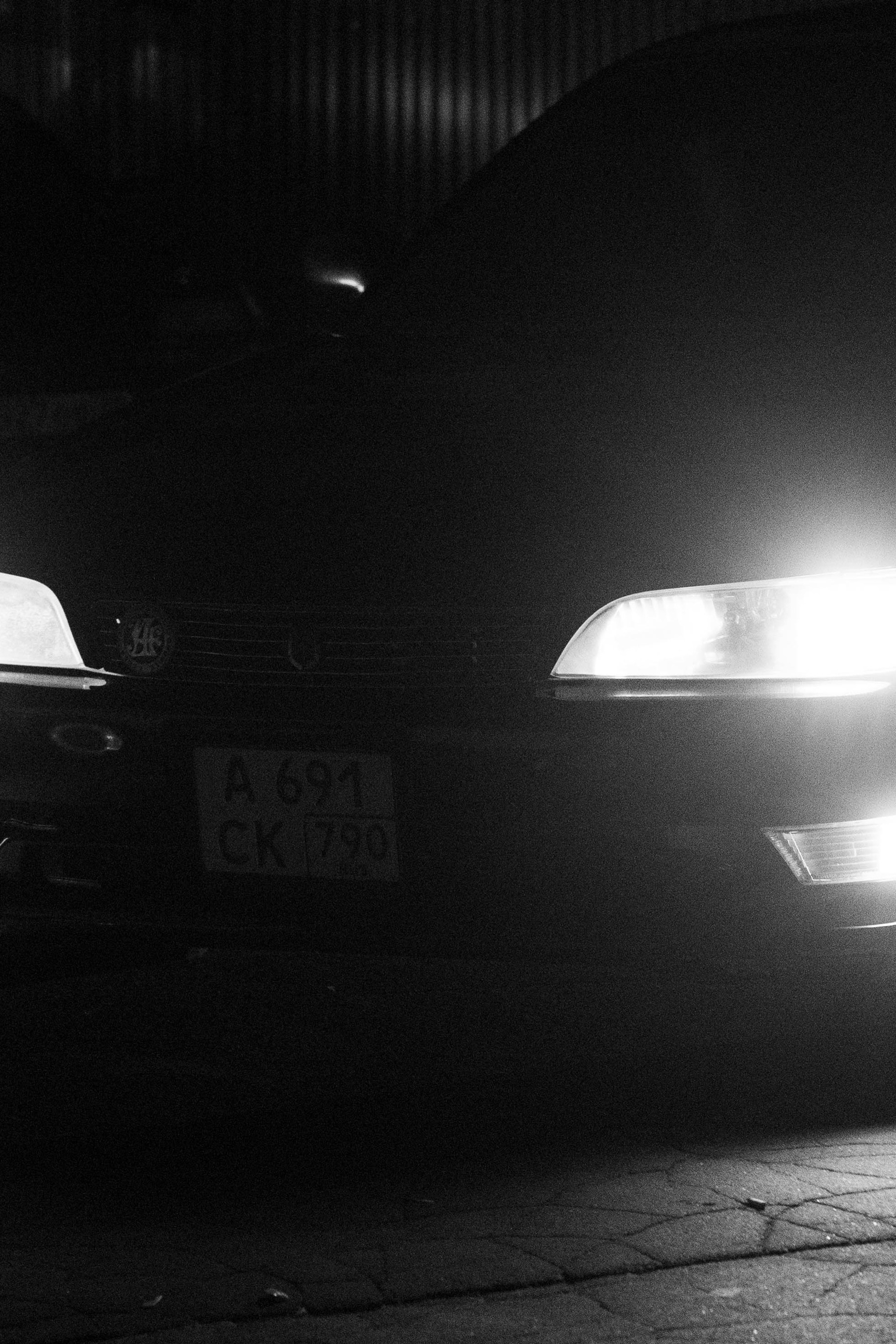Культура JDM. Rotten Rice Meet. Liza Osh photography