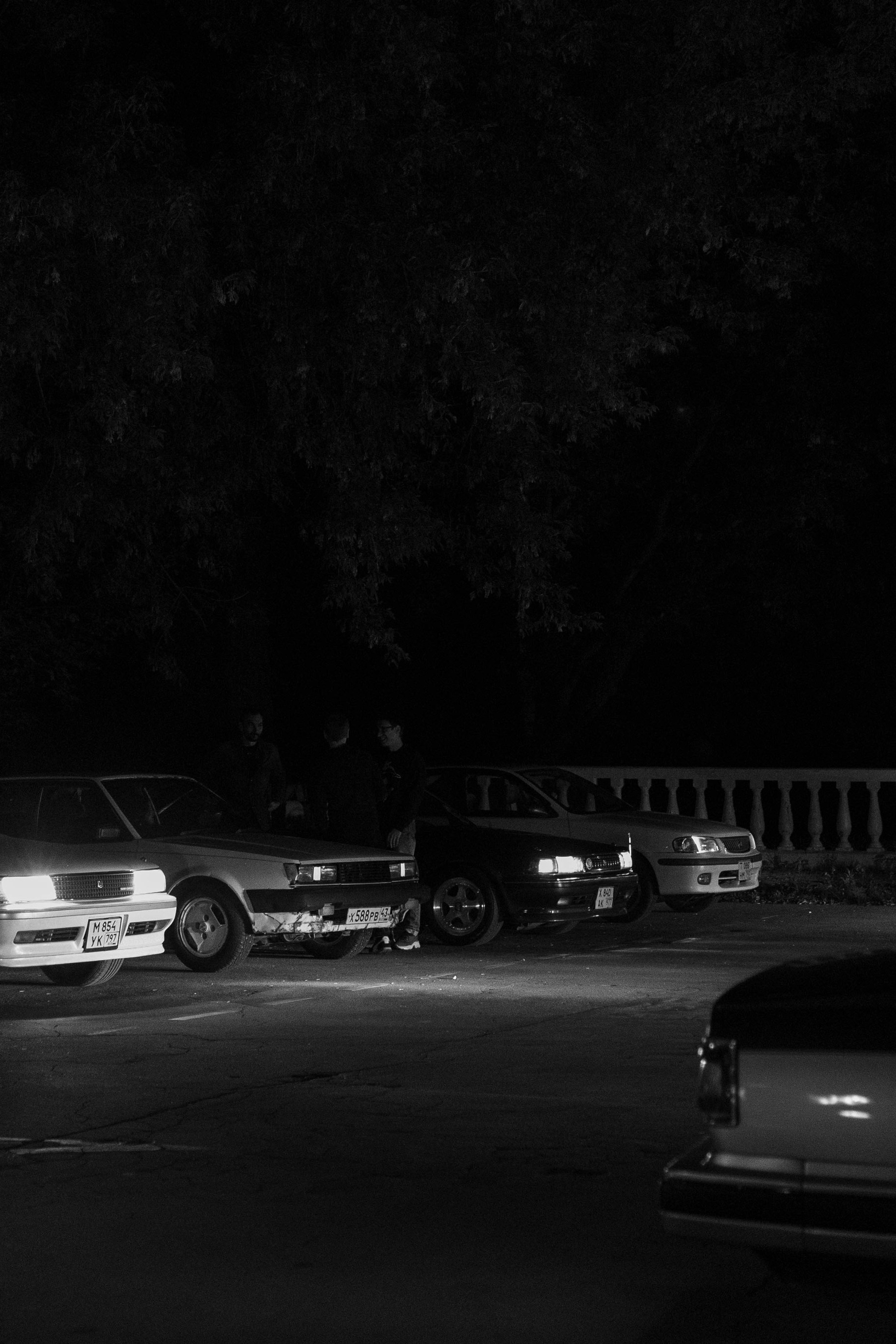 Культура JDM. Rotten Rice Meet. Liza Osh photography