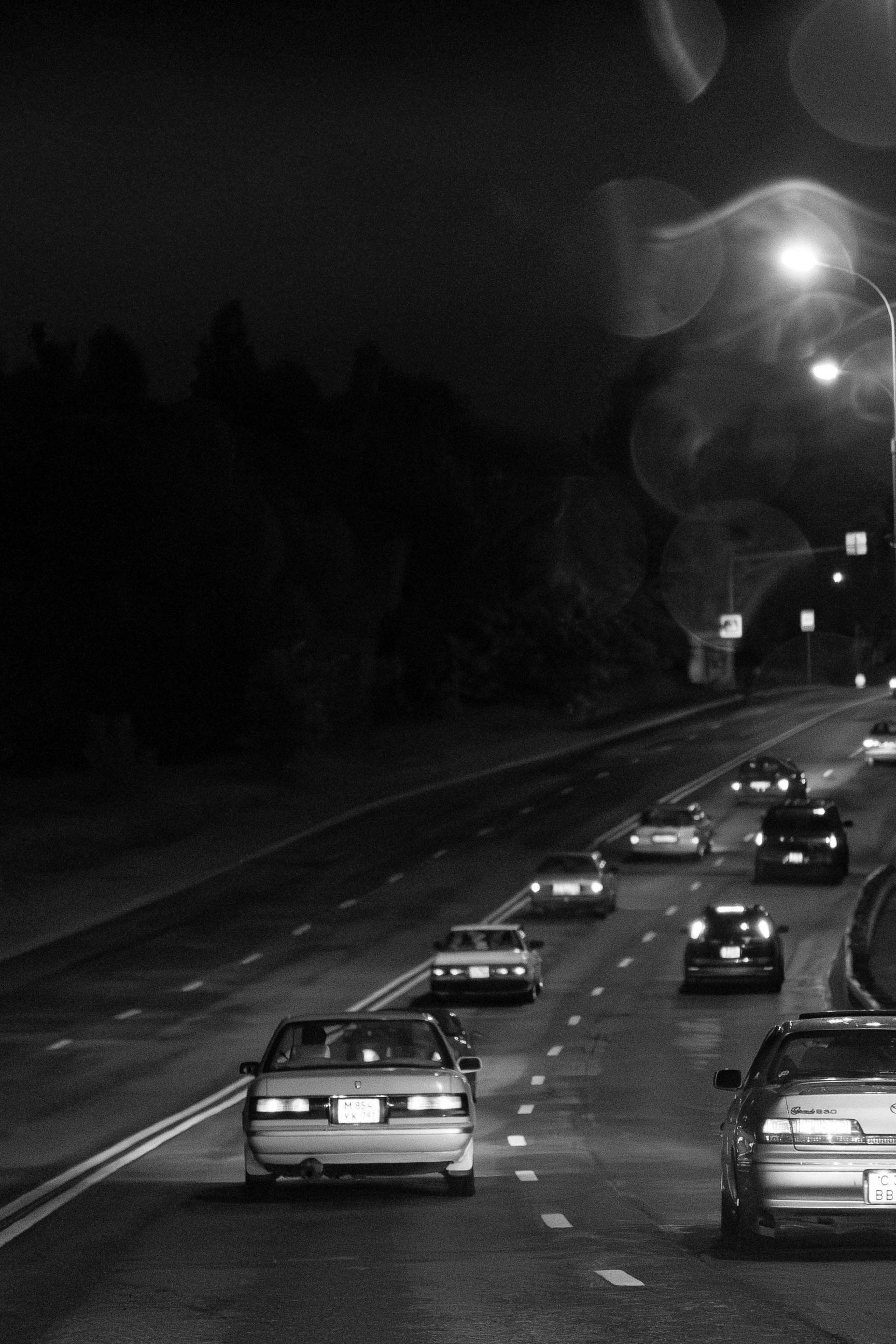 Культура JDM. Rotten Rice Meet. Liza Osh photography